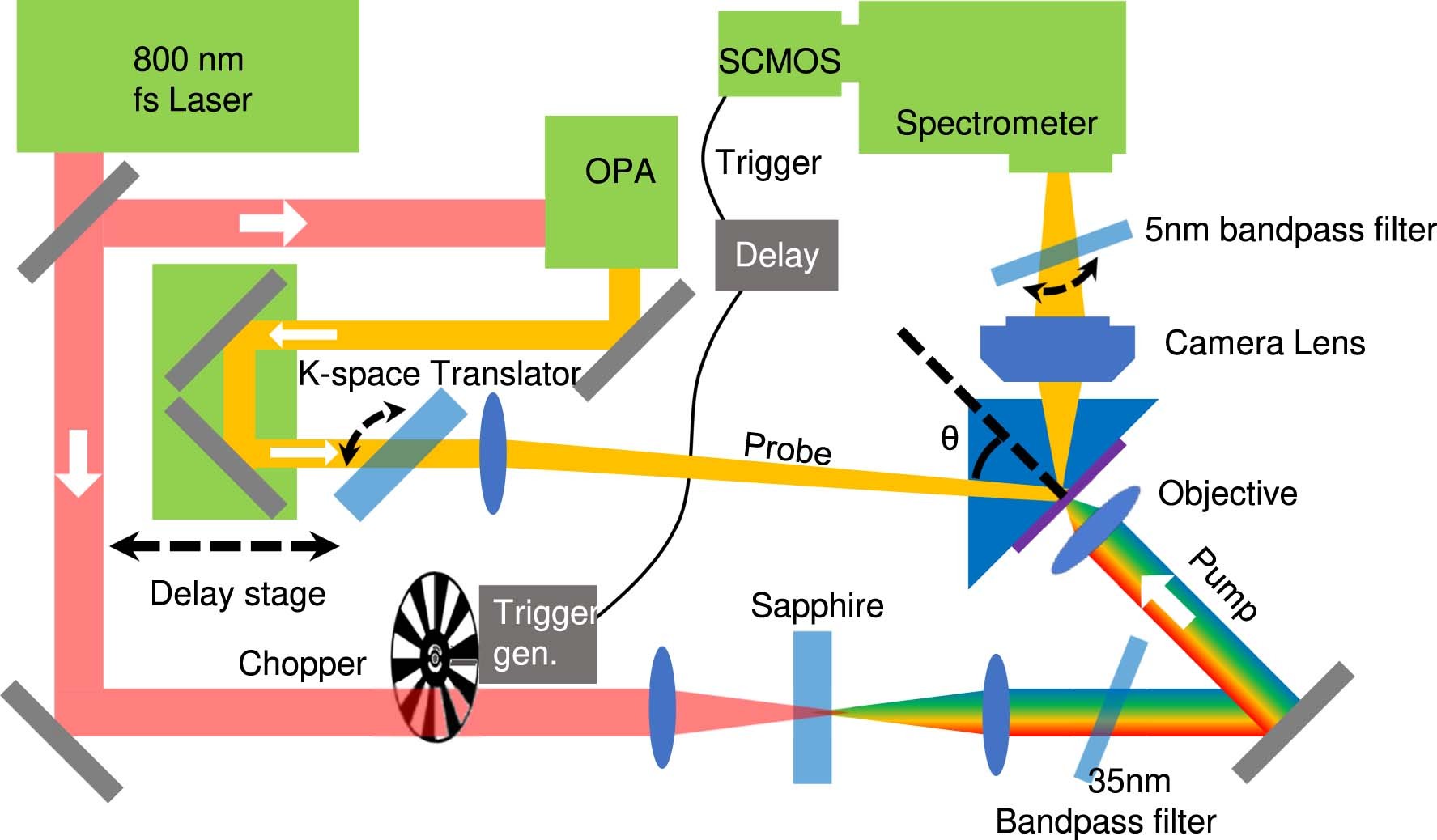 Extended Data Fig. 5