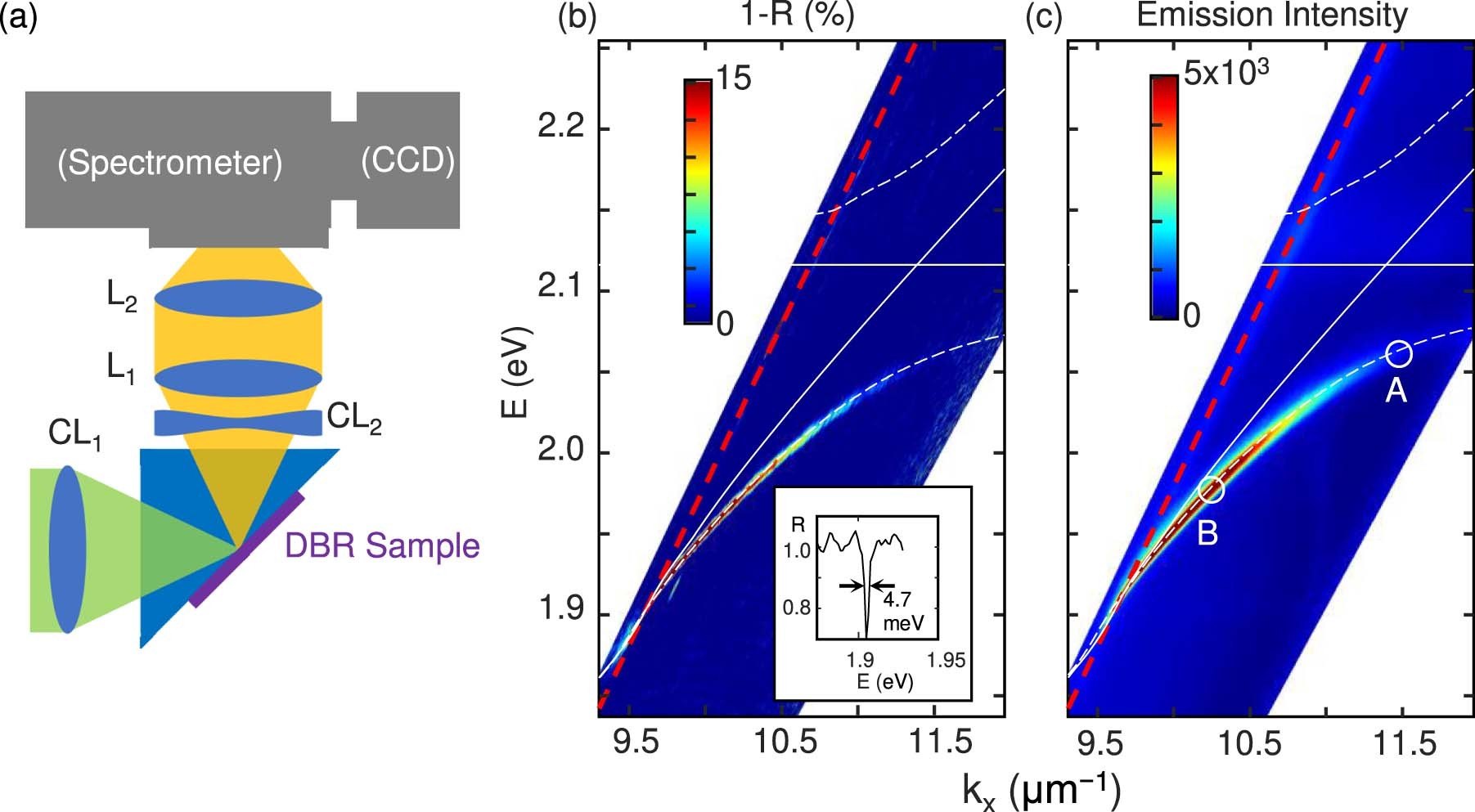 Extended Data Fig. 2