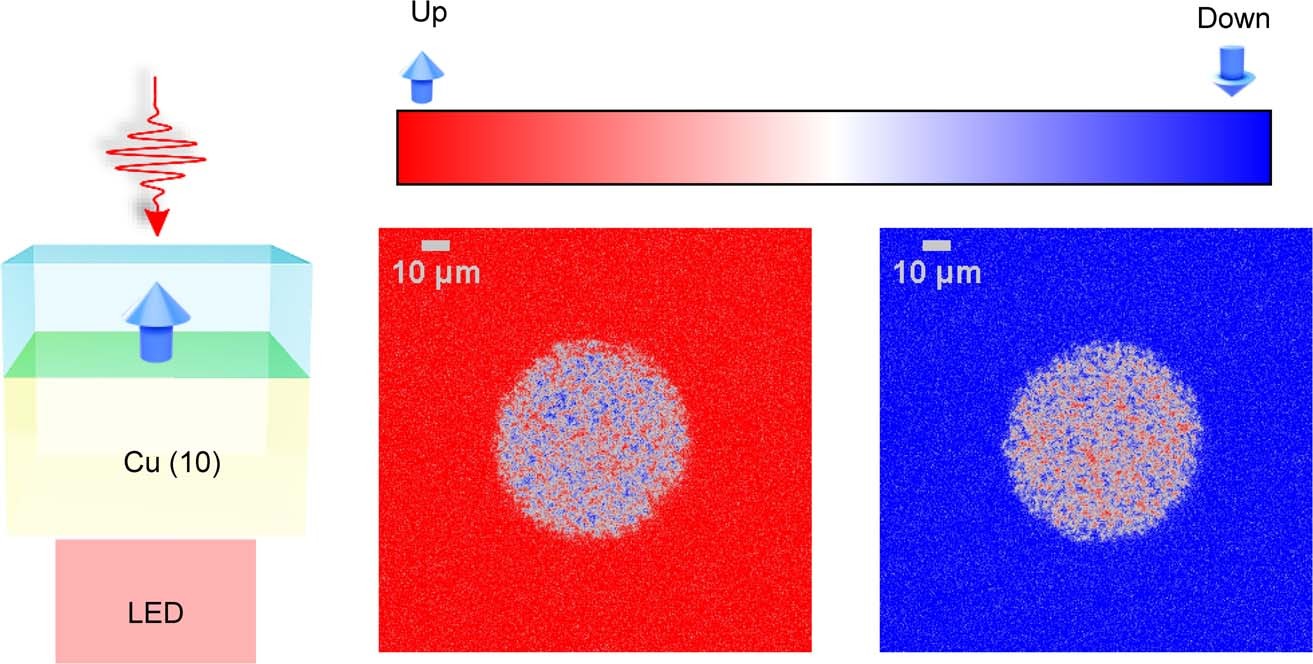 Extended Data Fig. 6