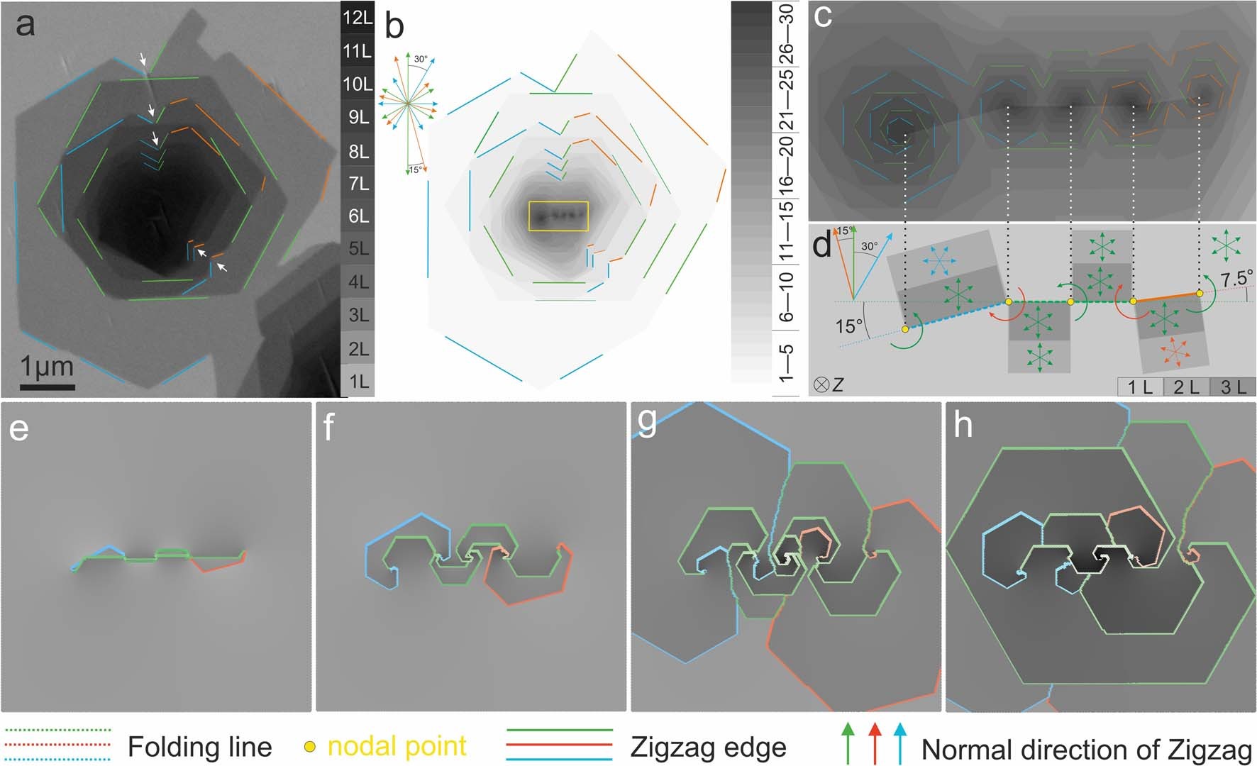 Extended Data Fig. 9: Reverse inference graphene spiral structure.