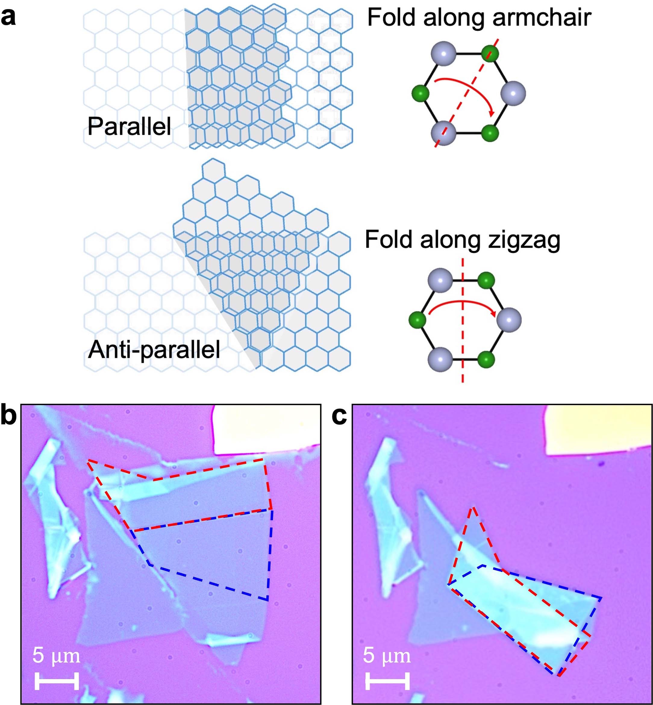 Extended Data Fig. 1