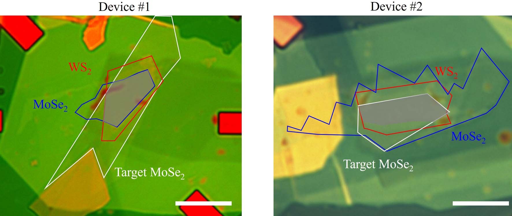 Extended Data Fig. 1: Optical image of device 1 and 2.