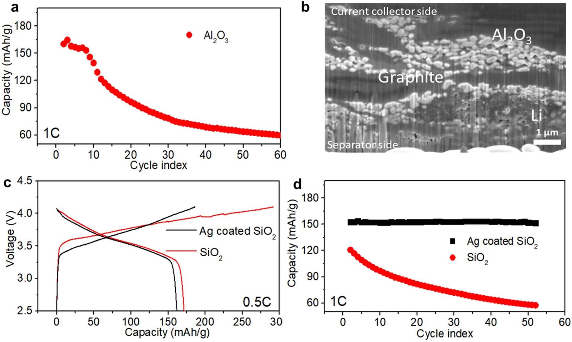 Extended Data Fig. 9