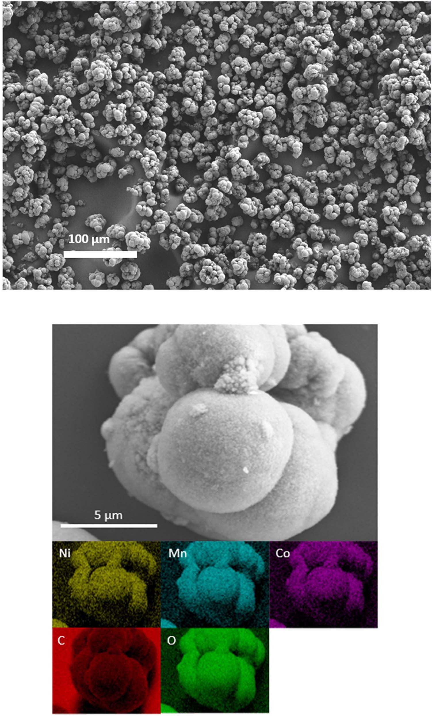 Extended Data Fig. 3: SEM and EDX for the mixed metal carbonate precursor.