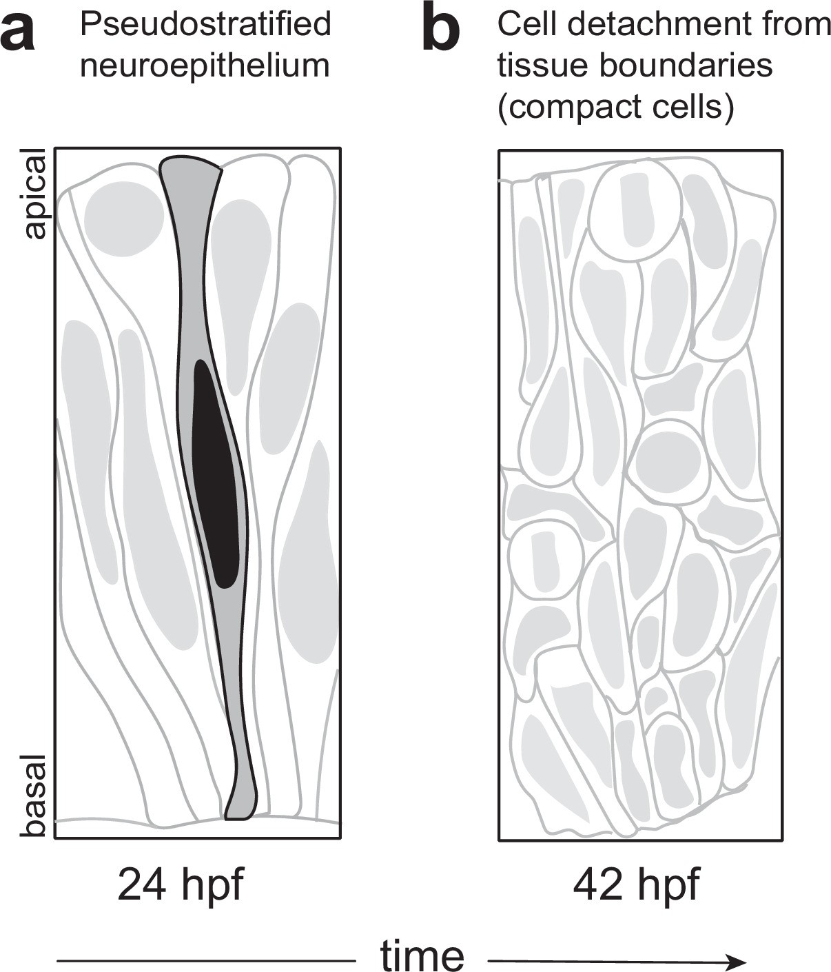 Extended Data Fig. 3