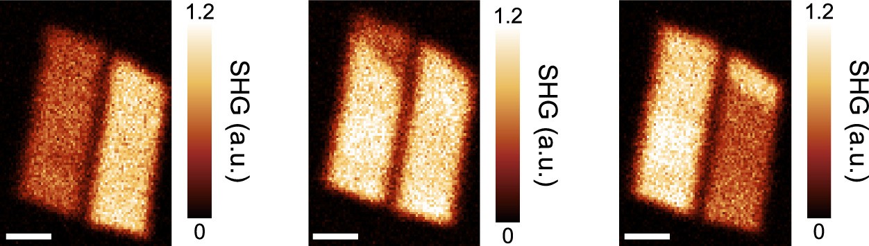 Extended Data Fig. 3