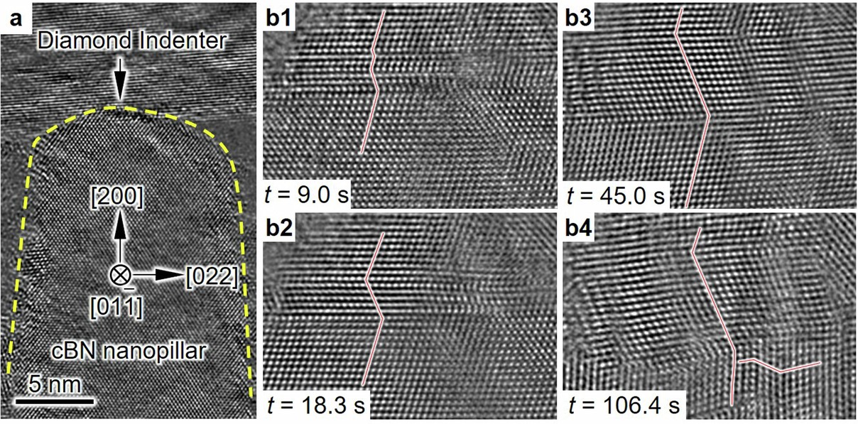 Extended Data Fig. 6
