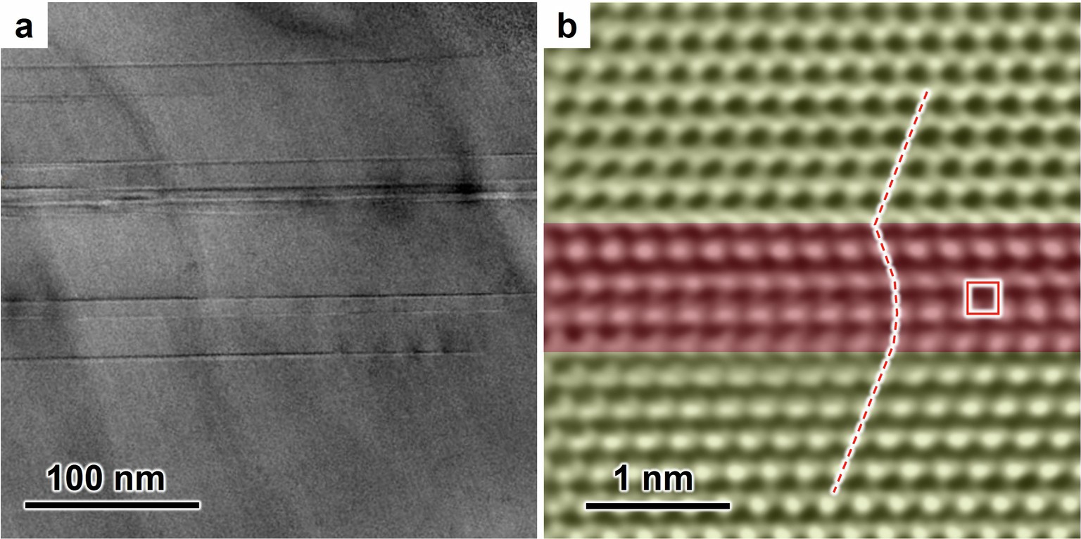 Extended Data Fig. 8