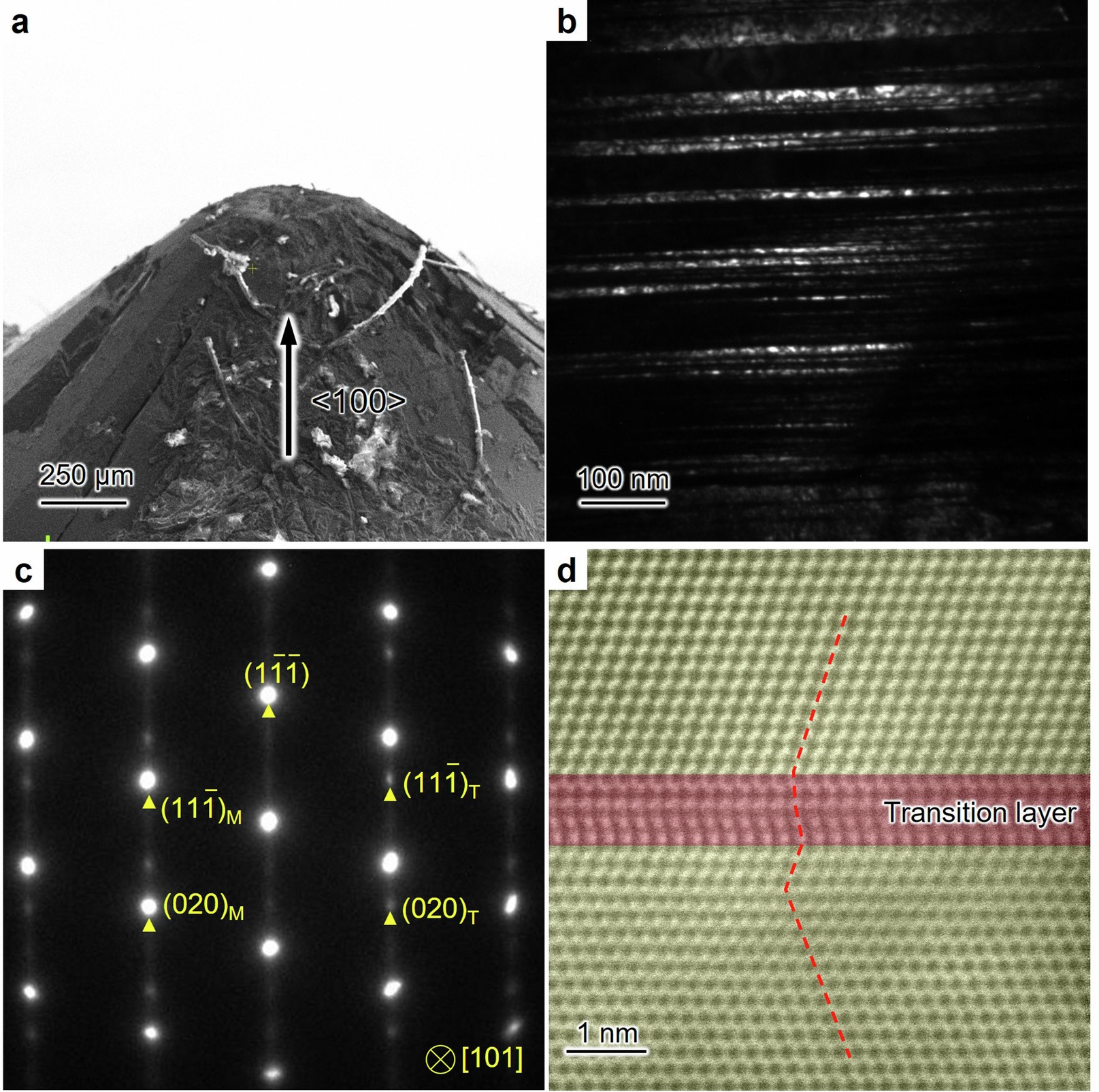 Extended Data Fig. 9