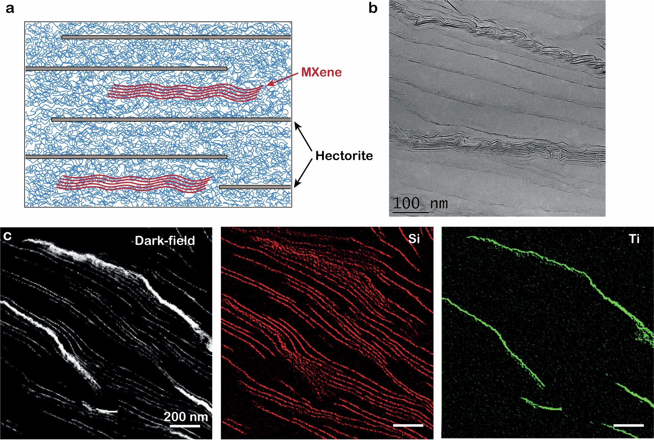 Extended Data Fig. 8
