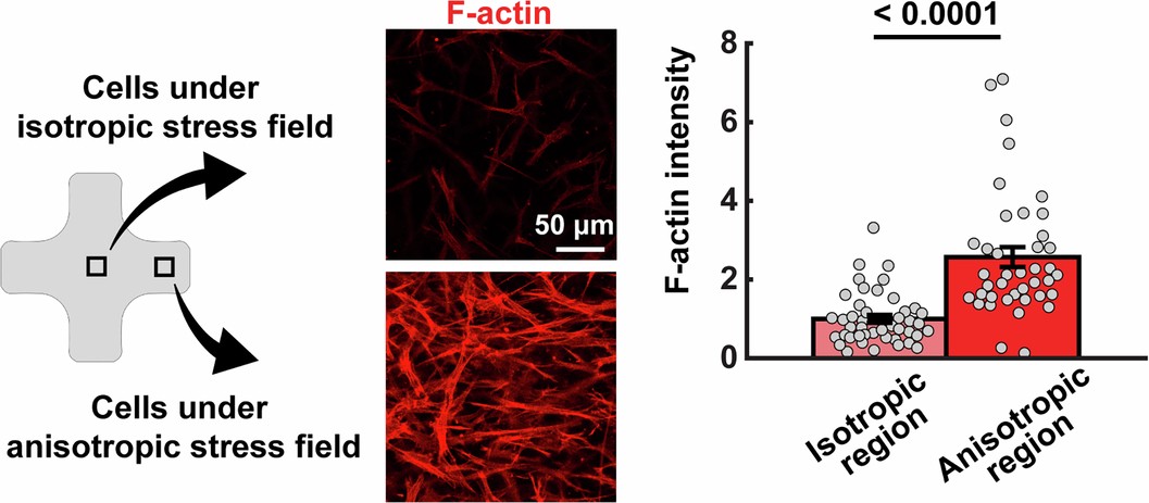 Extended Data Fig. 10