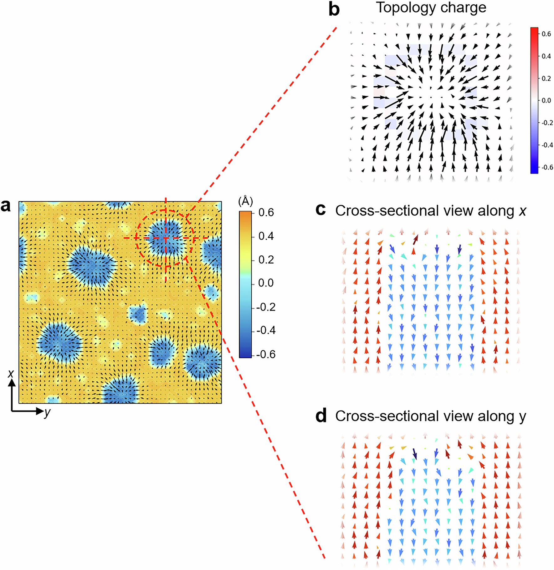 Extended Data Fig. 5: Simulated domain configuration of the PTSx=0.25 ceramic.