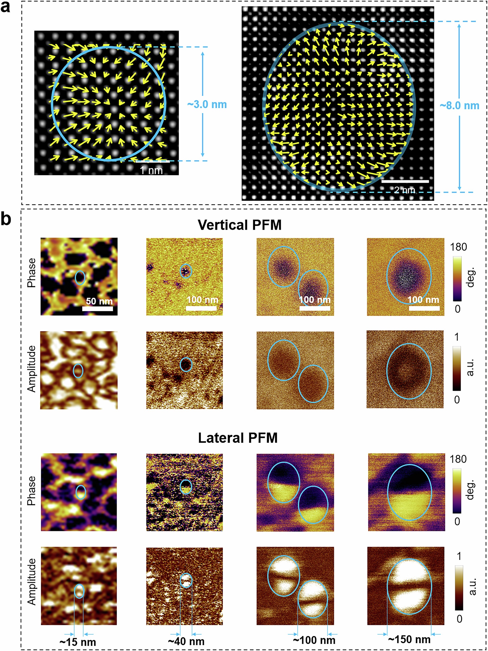 Extended Data Fig. 6: Skyrmion nanodomains with different lateral sizes.