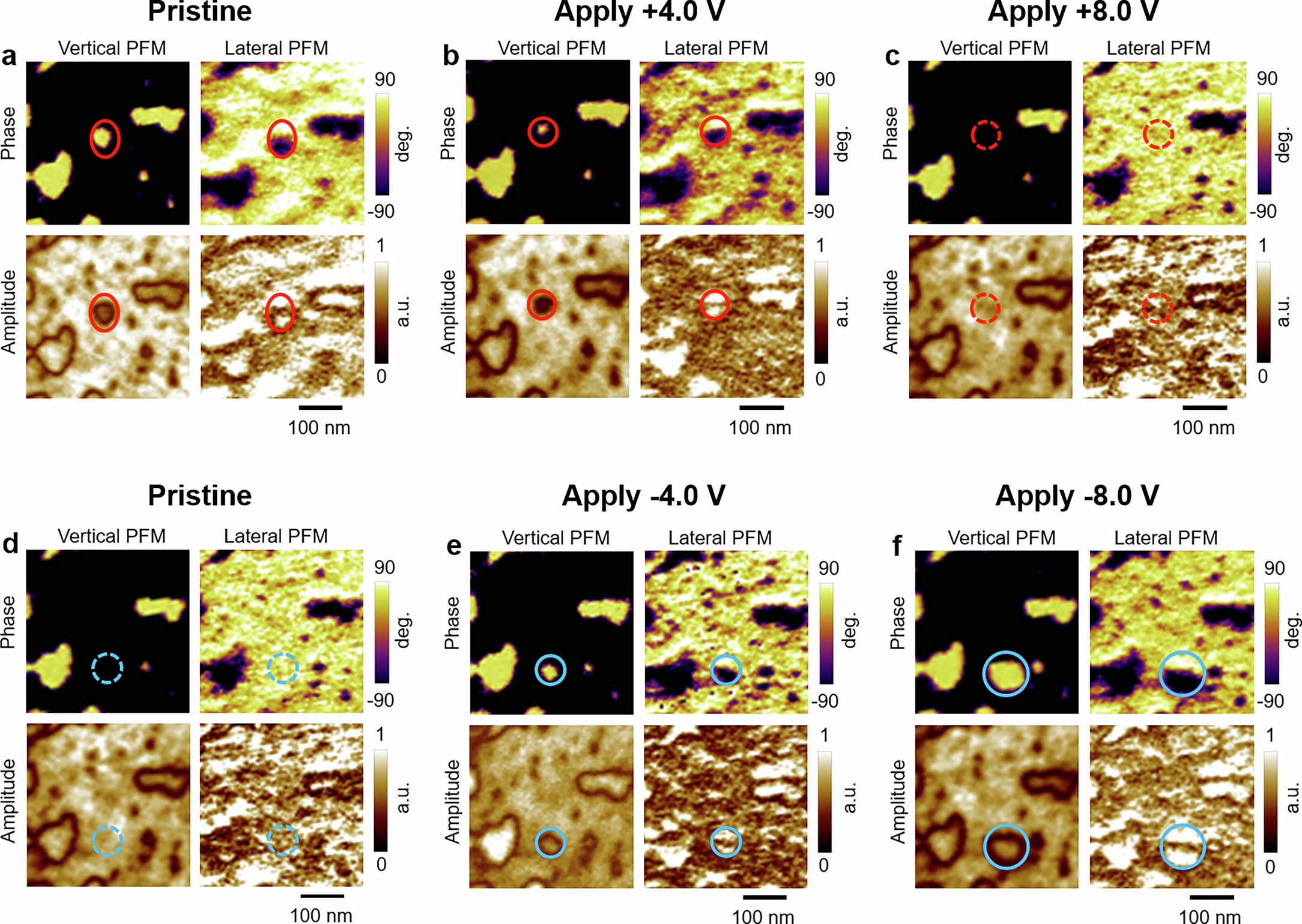 Extended Data Fig. 9: The evolution of skyrmion nanodomains during switching.