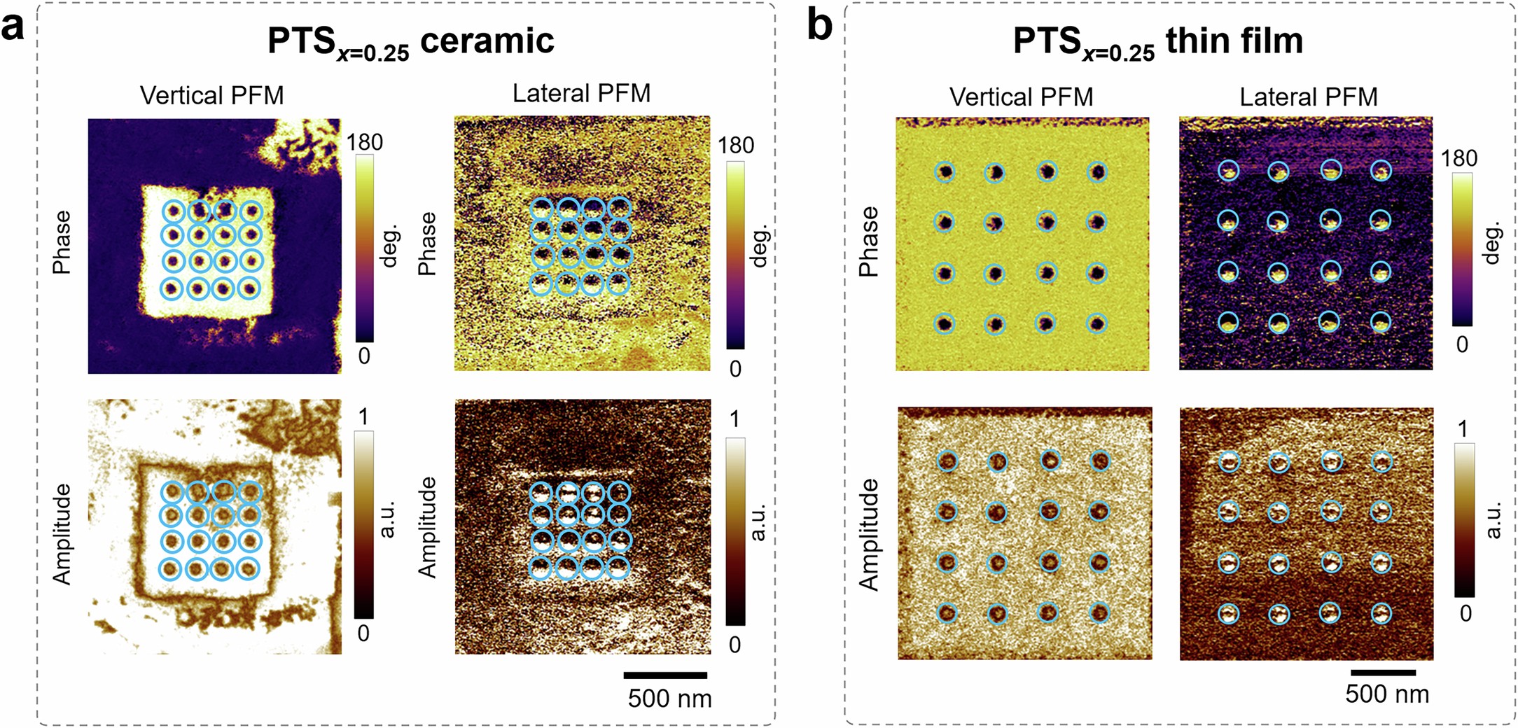 Extended Data Fig. 10: Vector PFM characterizations for the electrical writing of skyrmion arrays.