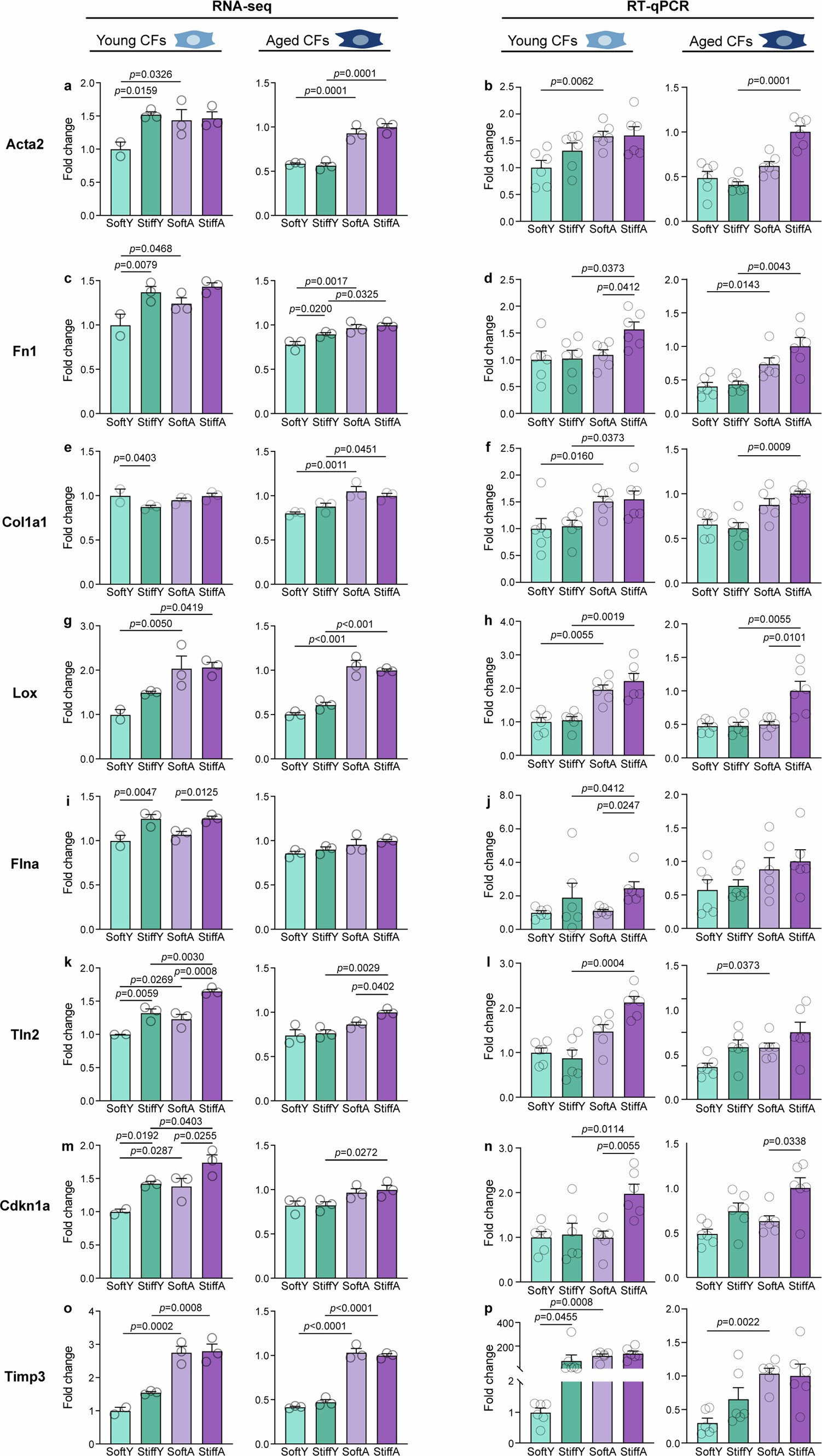 Extended Data Fig. 6: RT-qPCR validation of gene expression compared to RNA-seq.