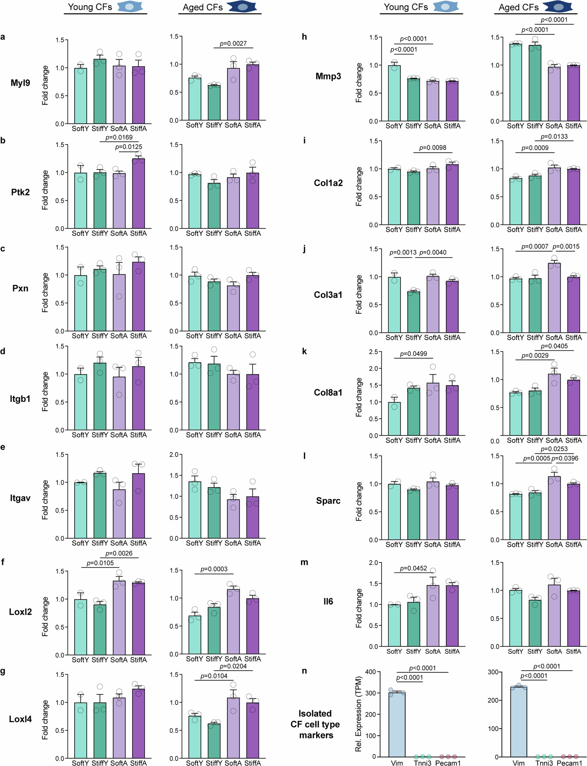 Extended Data Fig. 3: Additional CF gene expression levels quantified by RNA-seq.