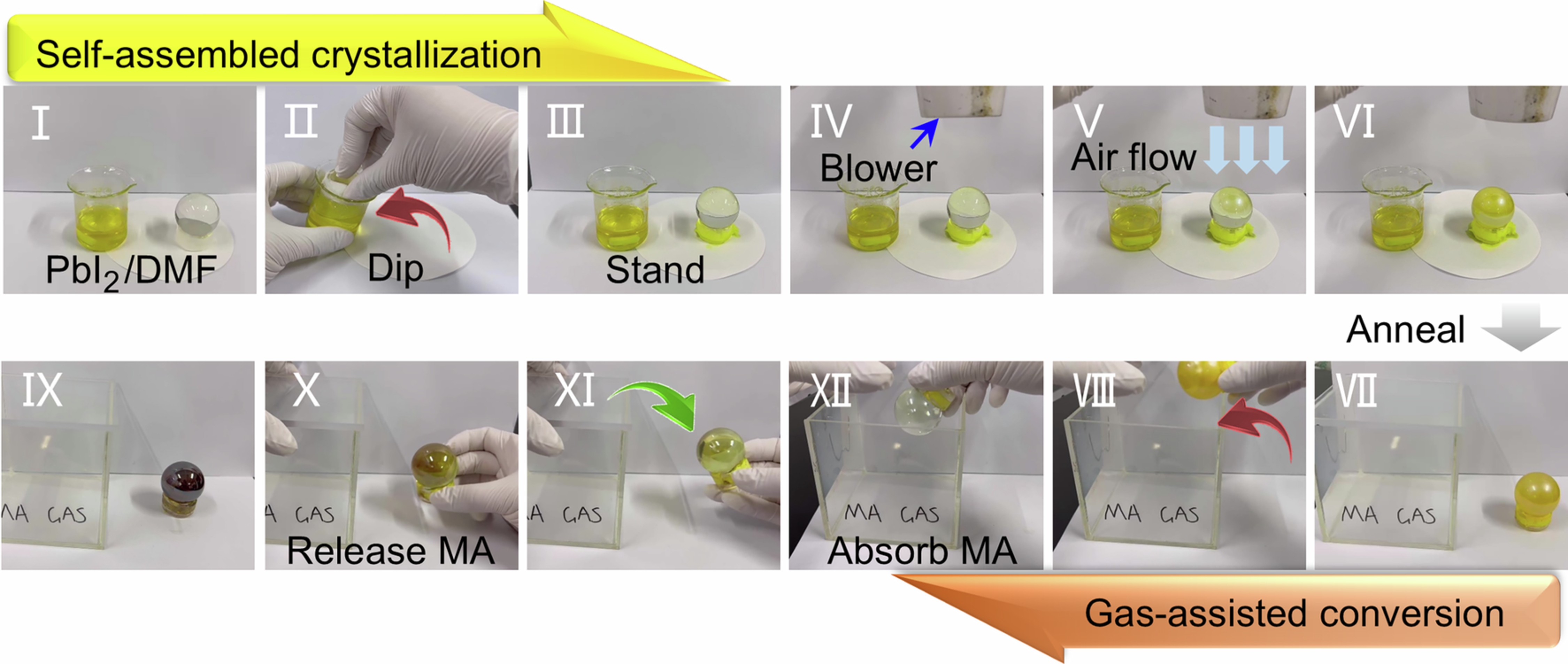 Extended Data Fig. 2