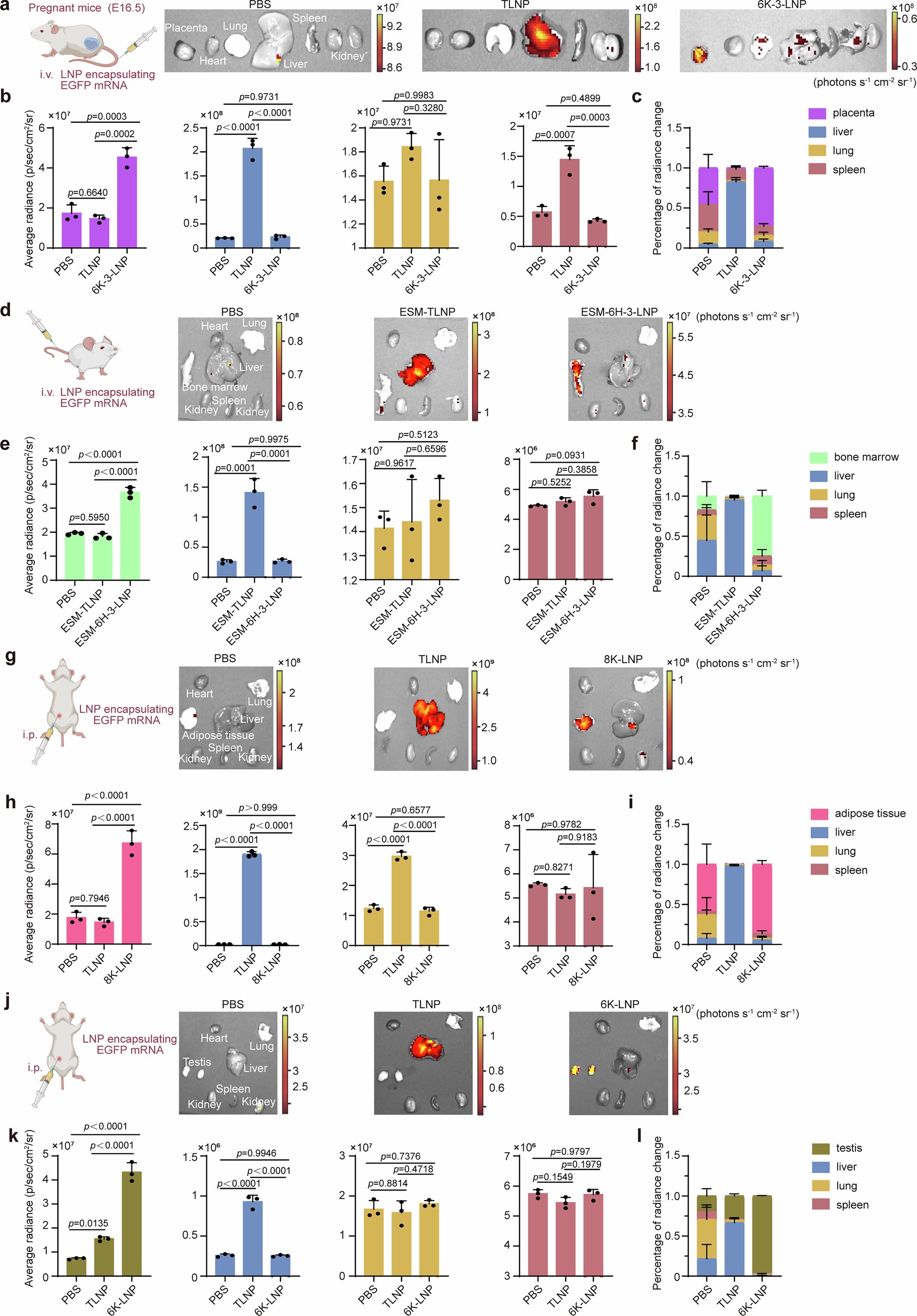 Extended Data Fig. 9: POST-LNPs enable organ-selective delivery to other extrahepatic organs.