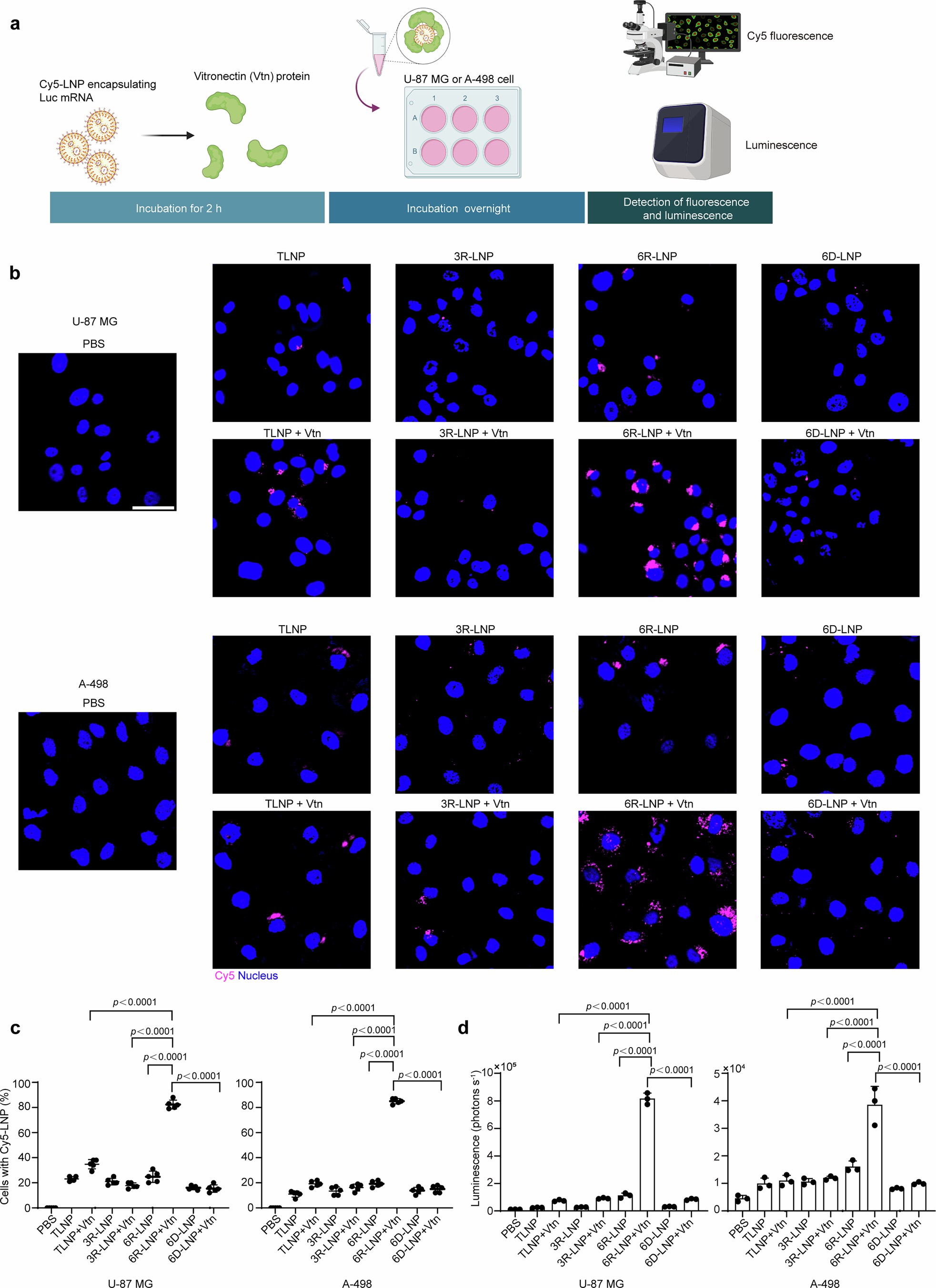 Extended Data Fig. 3