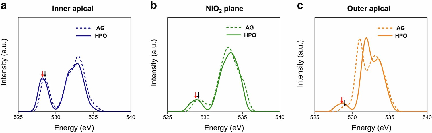 Extended Data Fig. 9: DFT + U simulated oxygen K-edge XAS spectra of AG and HPO phases.