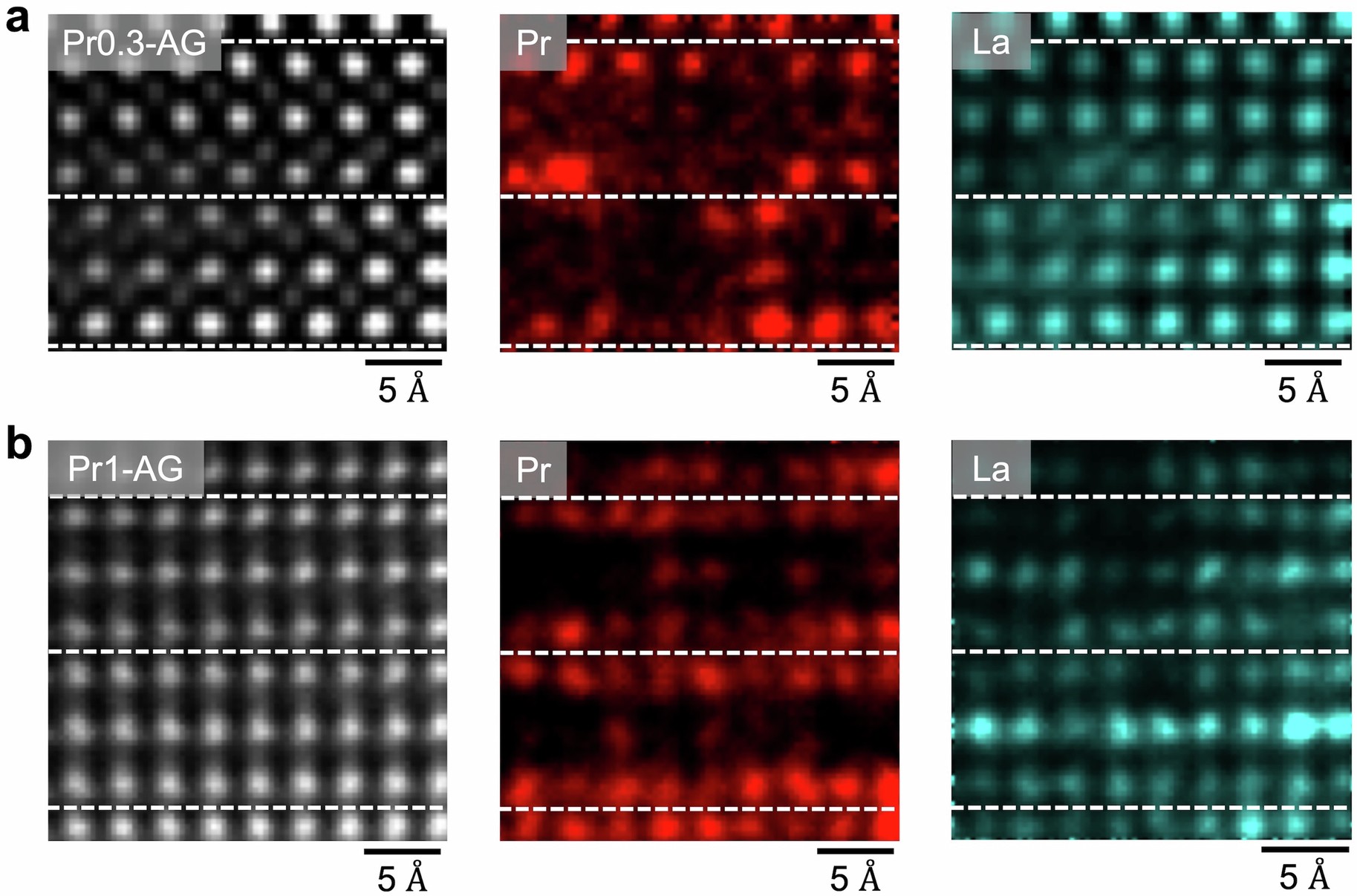 Extended Data Fig. 2: Elemental EELS mapping for Pr dopant distribution.