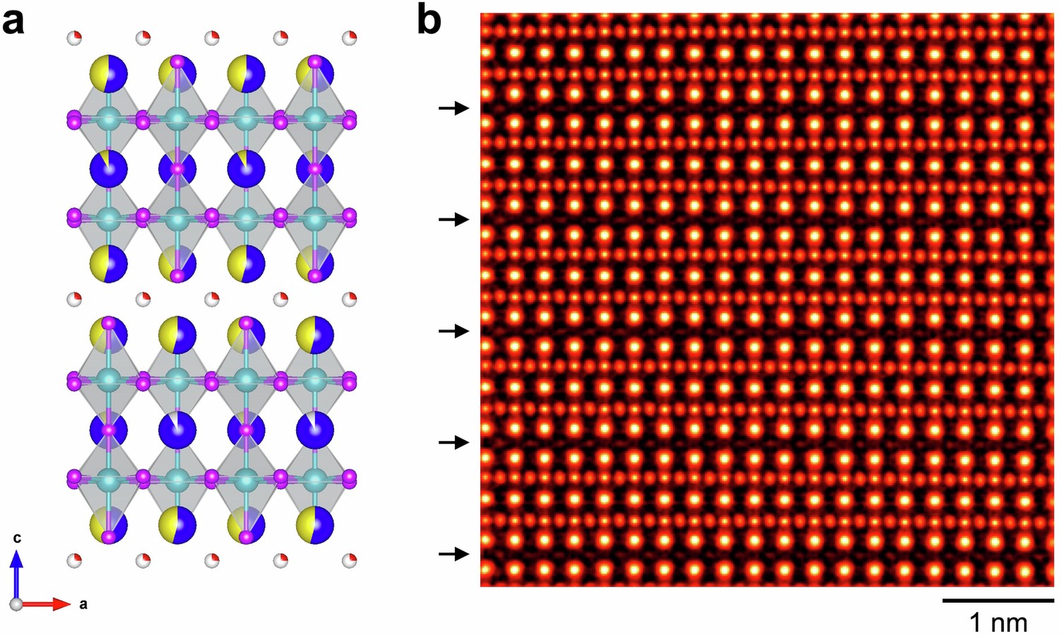 Extended Data Fig. 3: MEP imaging of the HPO-annealed sample along [010] axis.