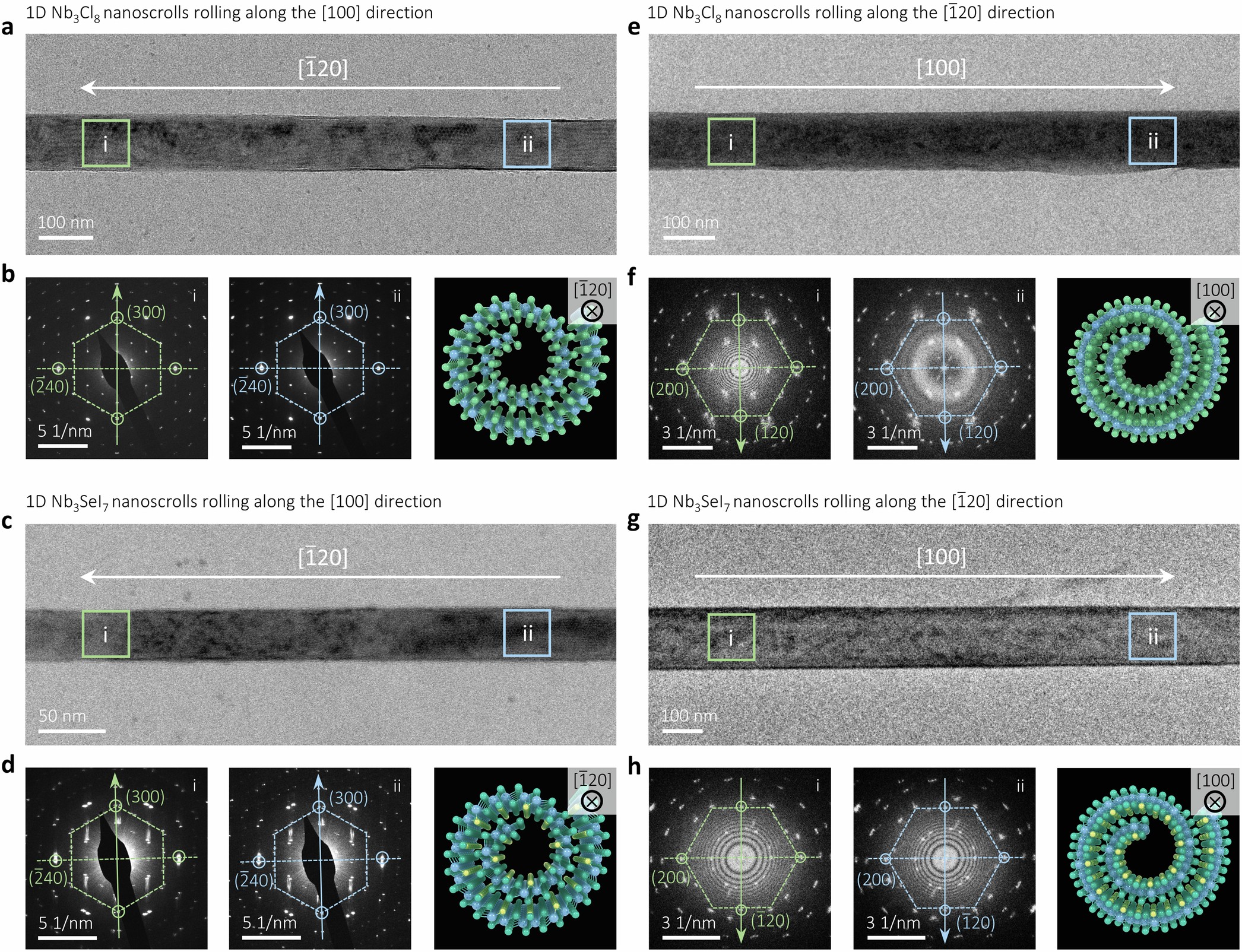 Extended Data Fig. 4: Rolling orientation of the 1D M3X8 and M3QX7 nanoscrolls prepared from a different batch of samples.