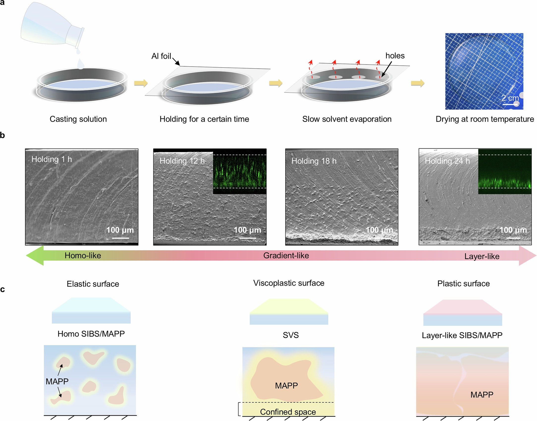 Extended Data Fig. 3