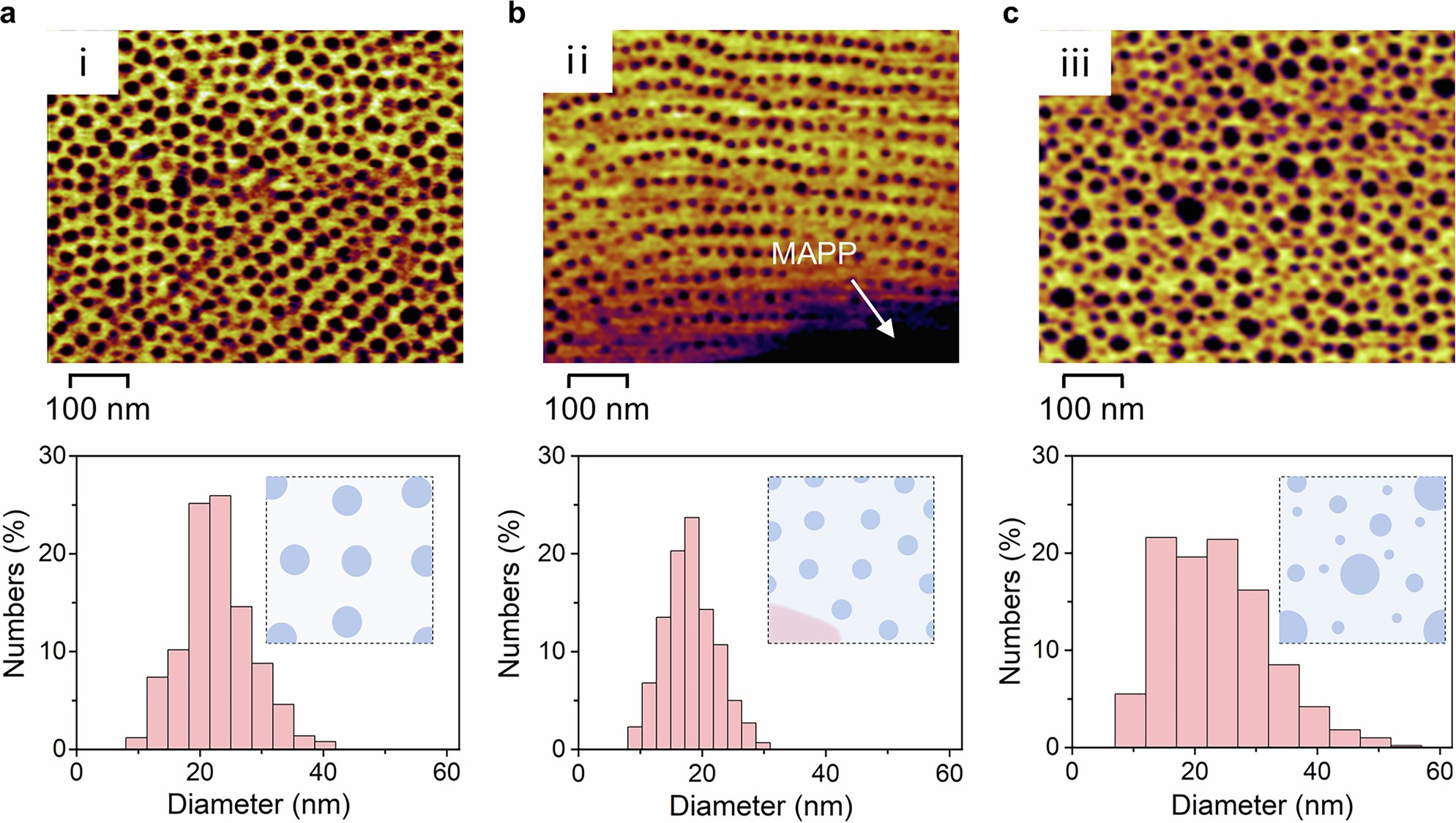 Extended Data Fig. 4