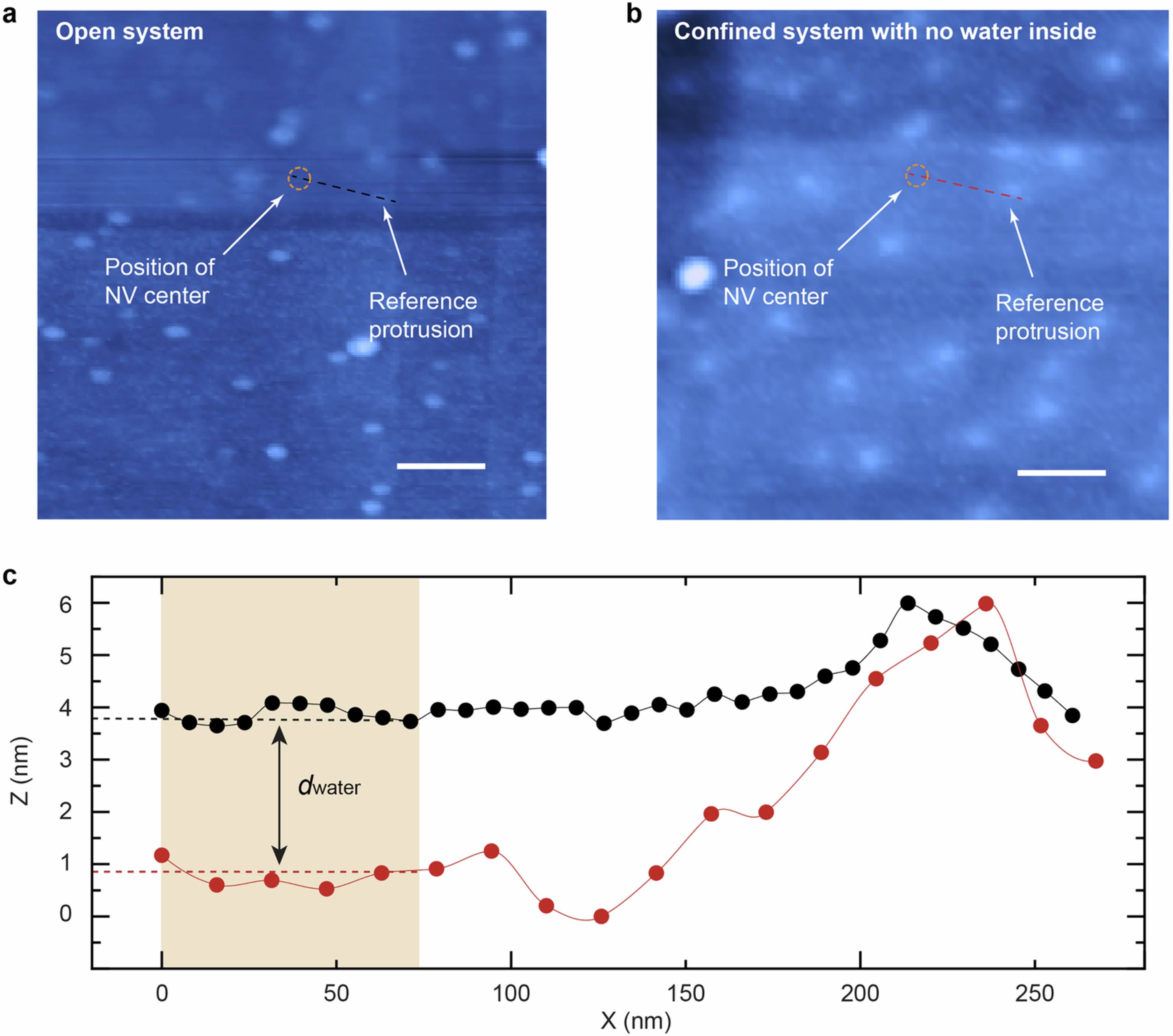 Extended Data Fig. 1