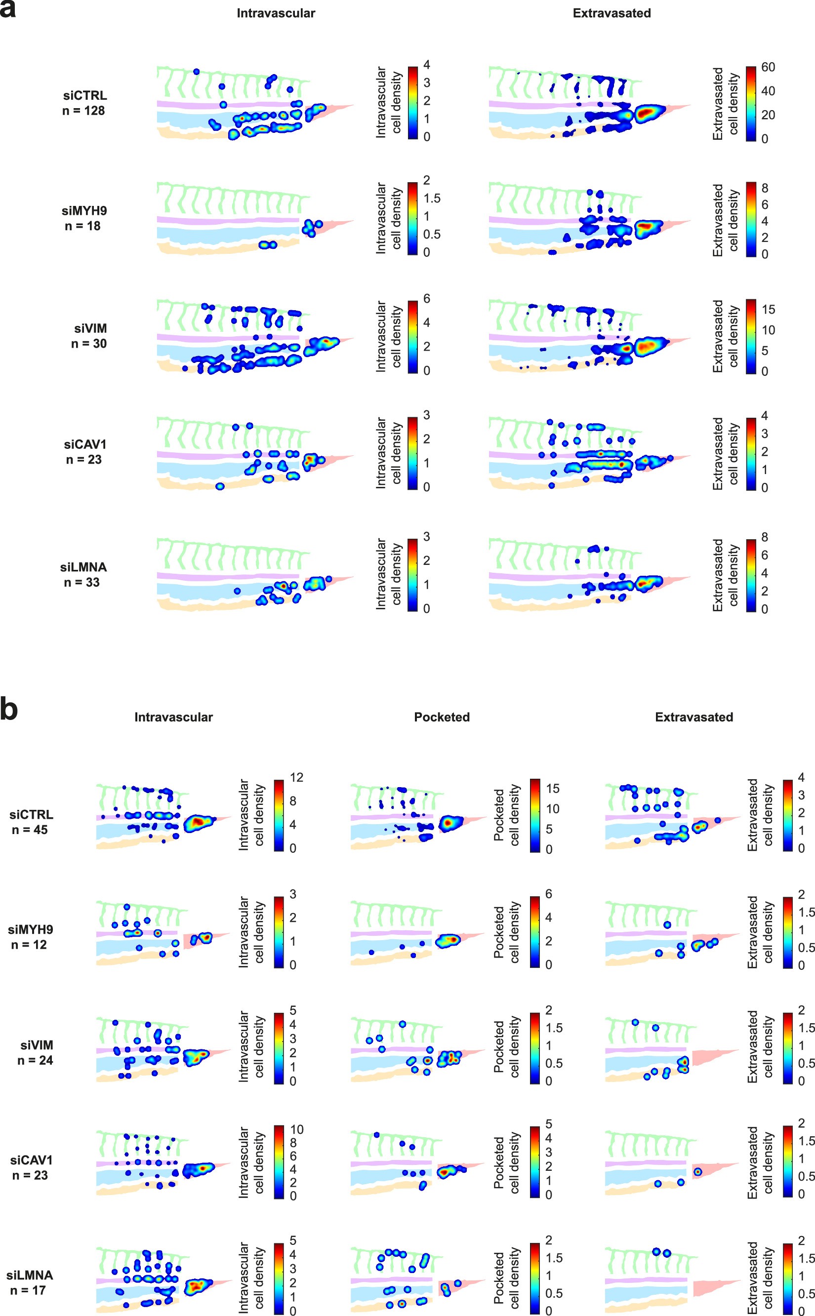 Extended Data Fig. 6