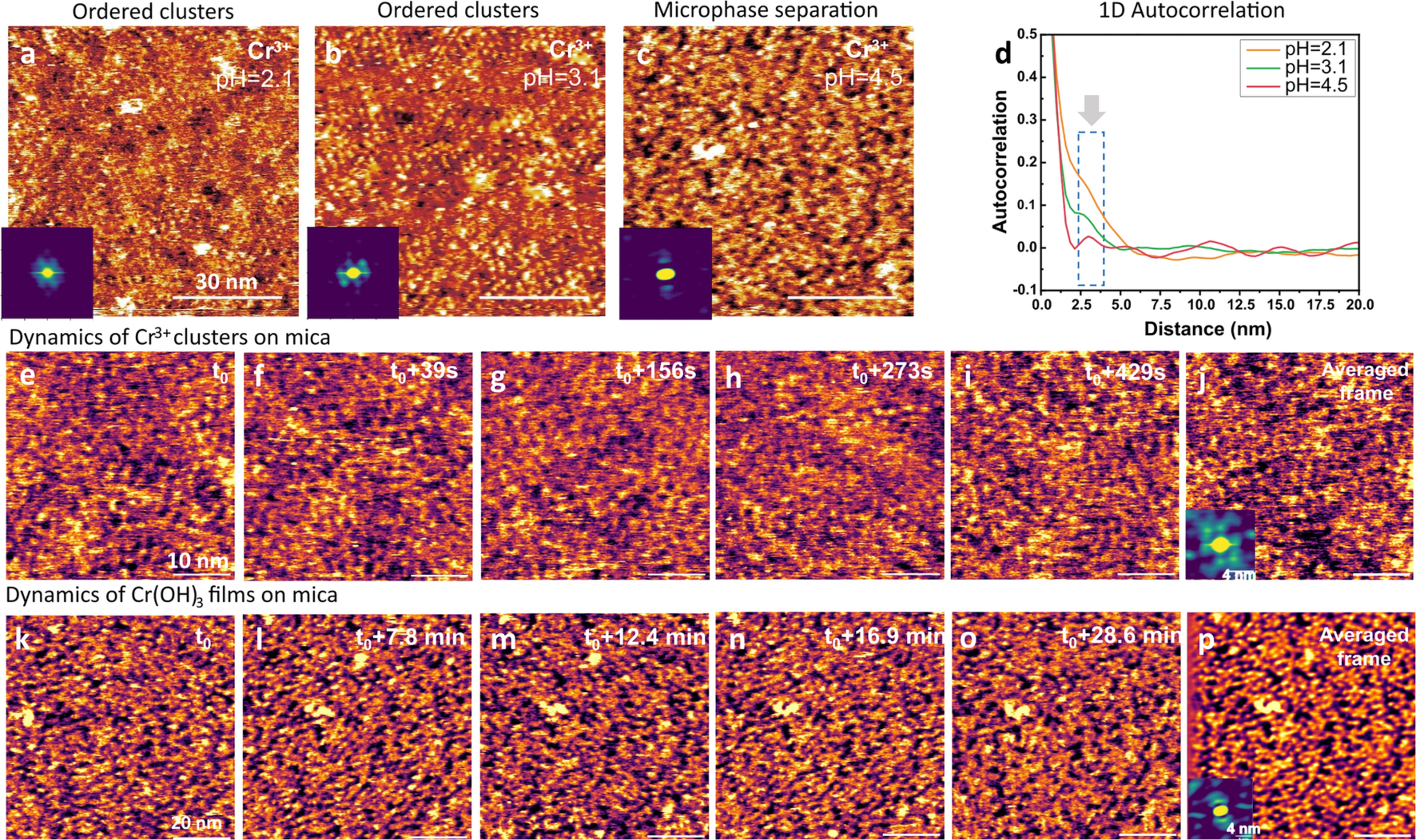 Extended Data Fig. 5