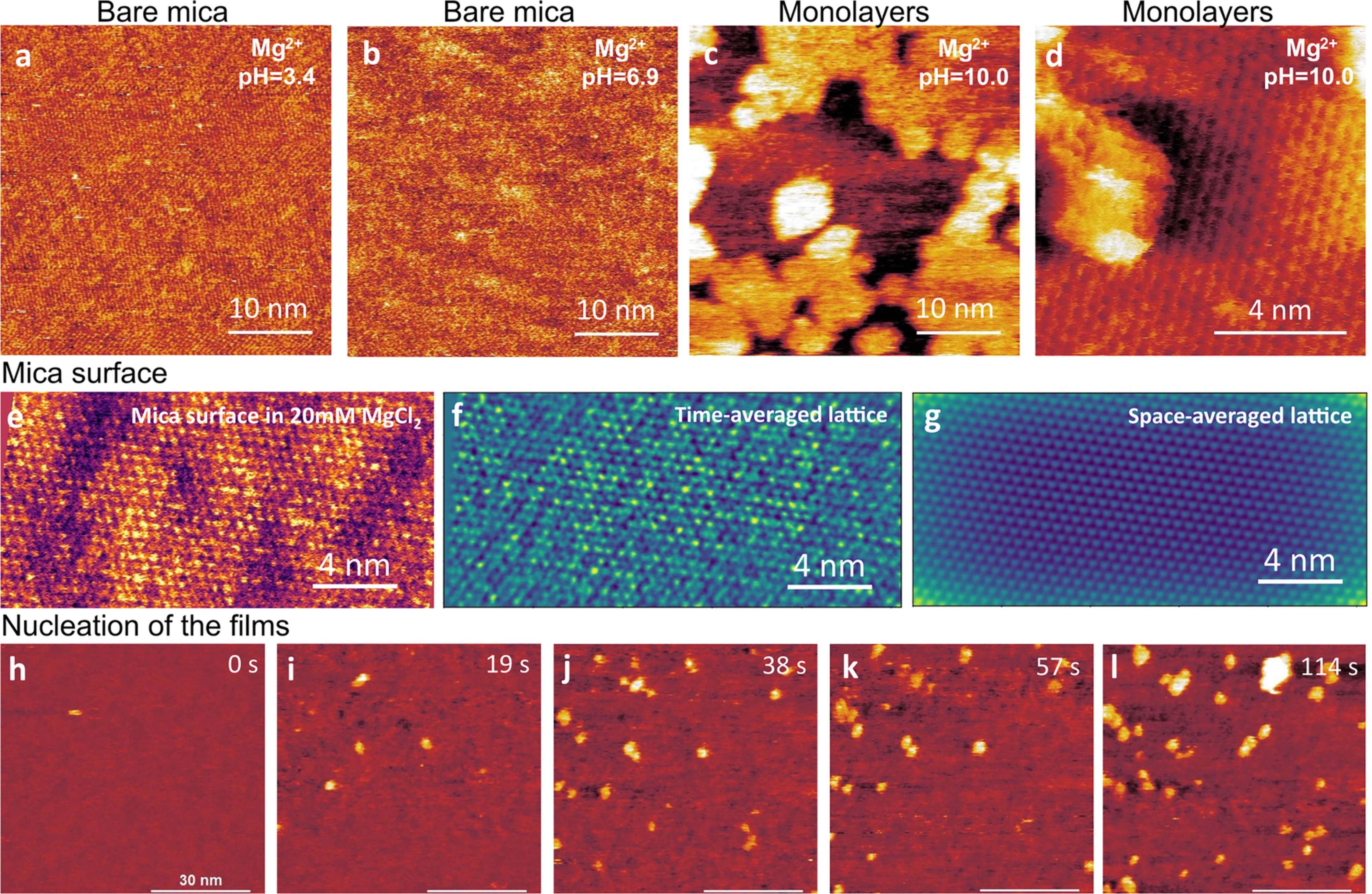Extended Data Fig. 8