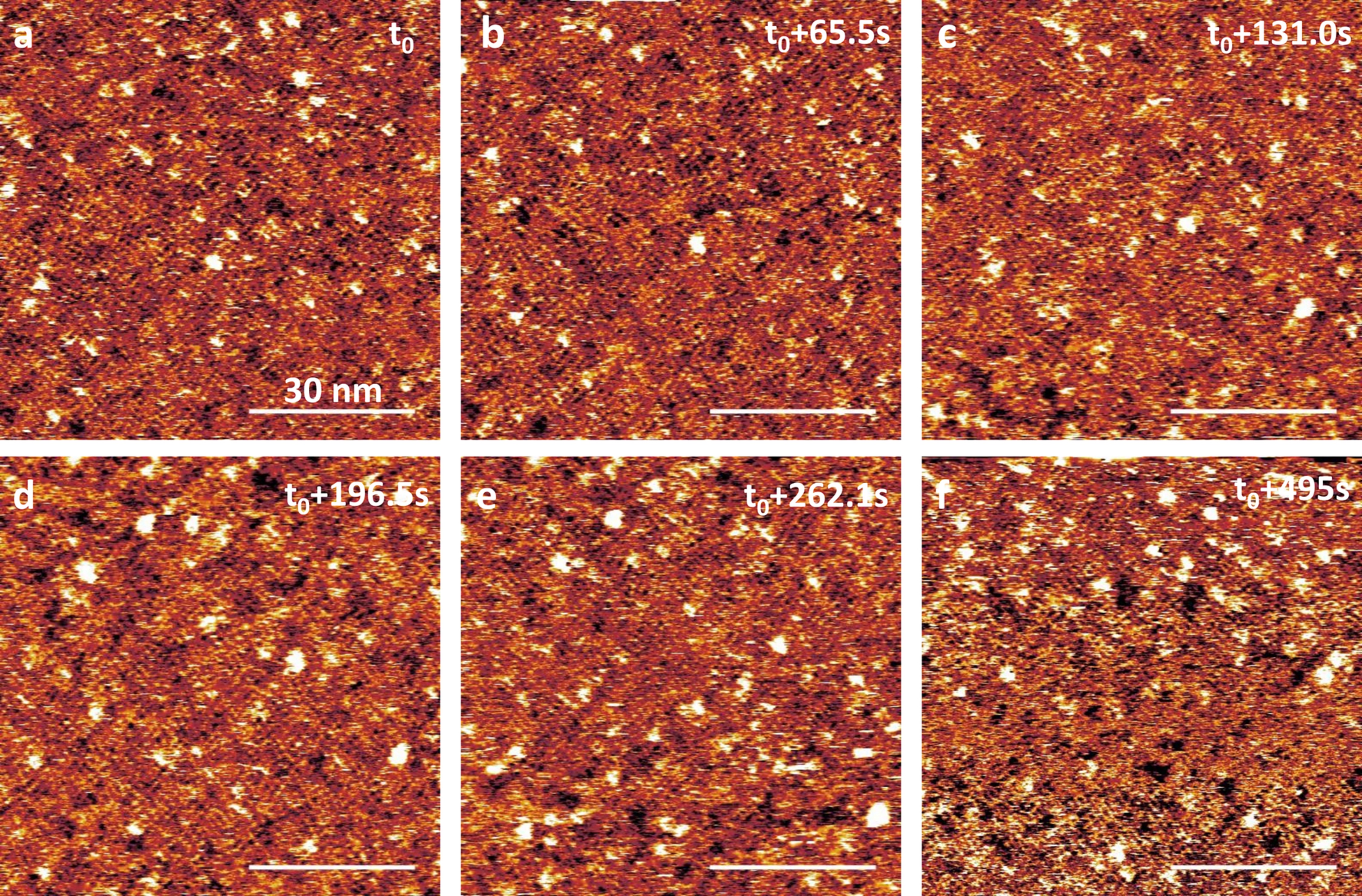 Extended Data Fig. 1