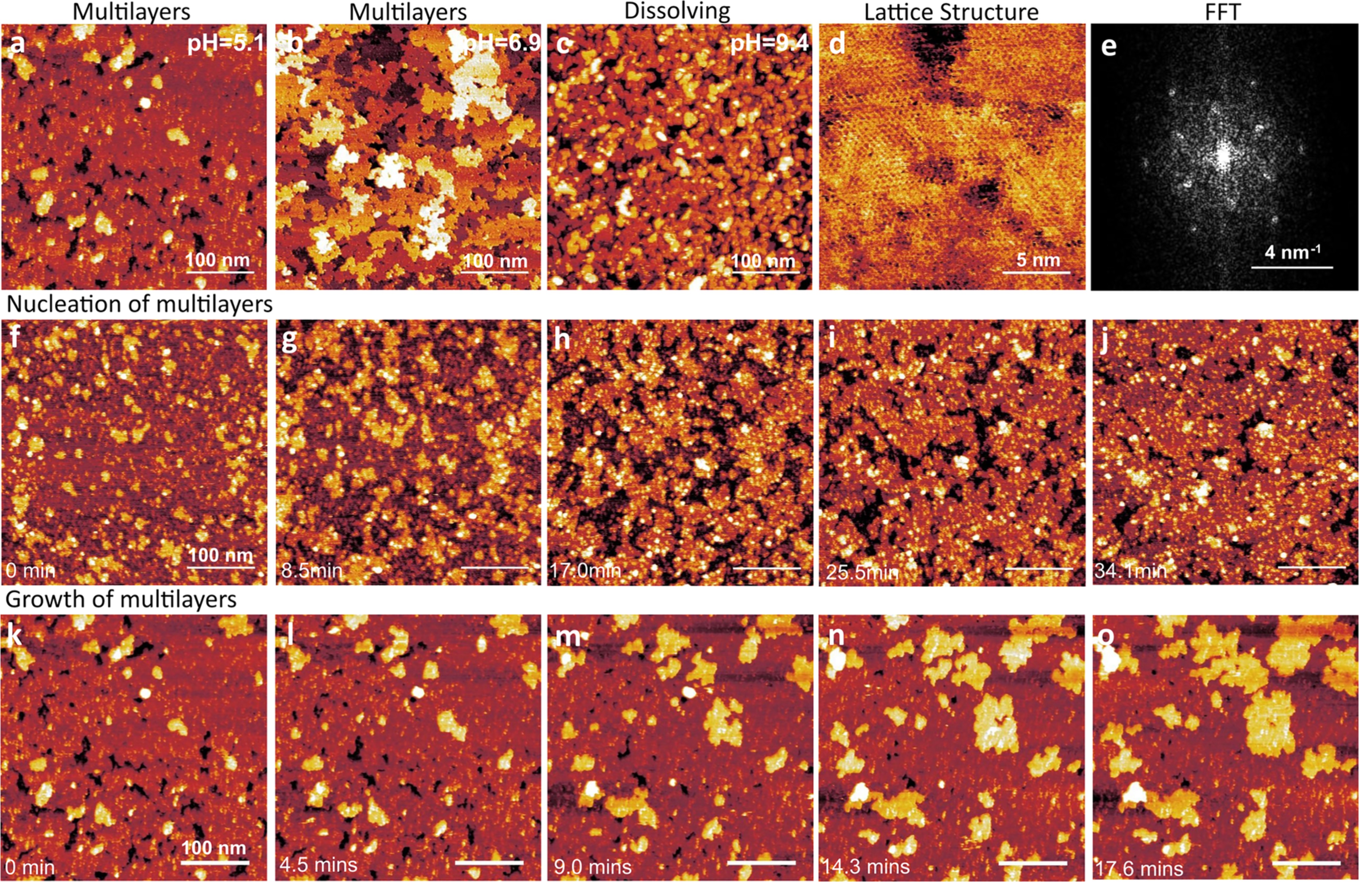 Extended Data Fig. 3