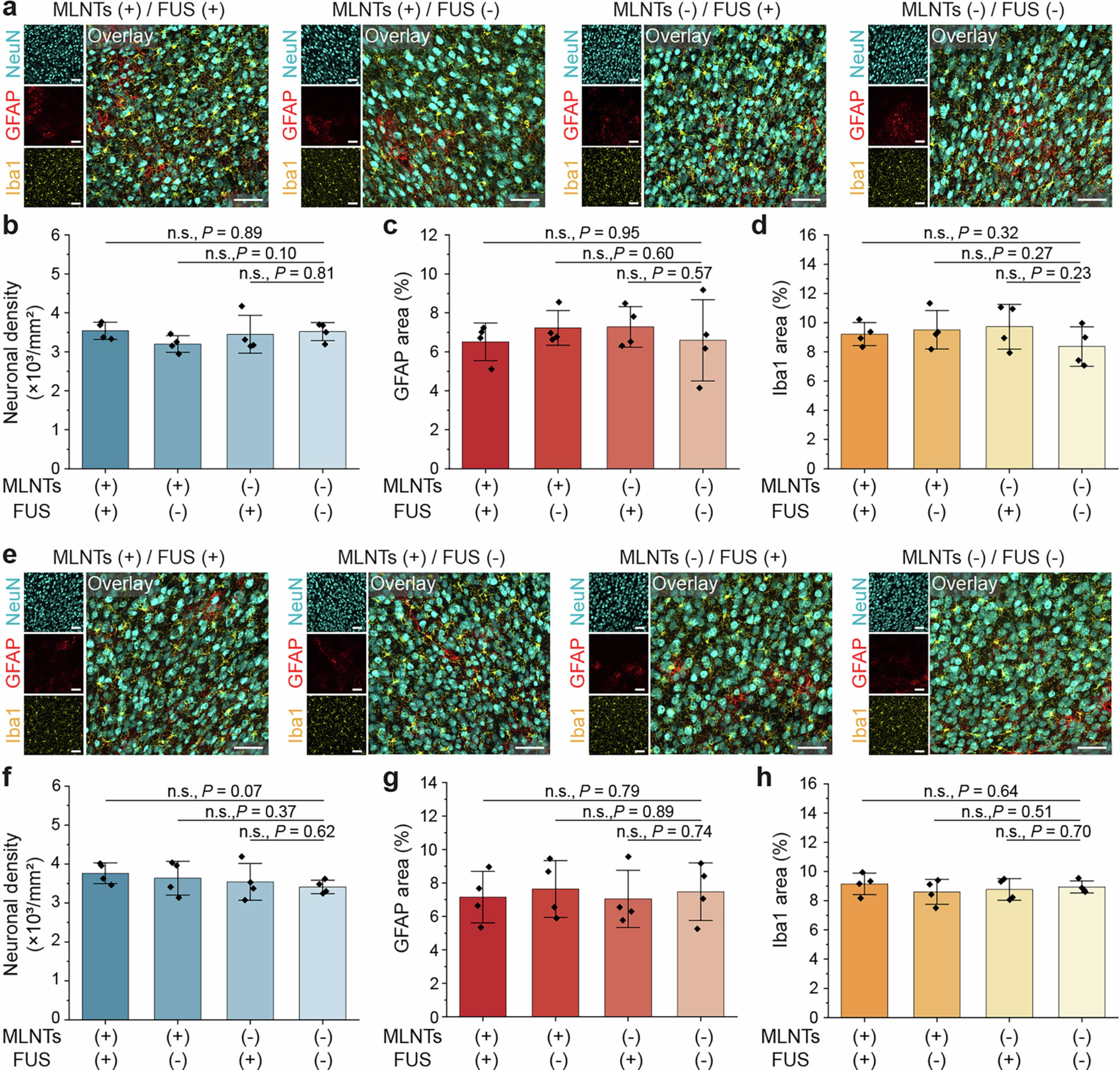 Extended Data Fig. 3: Biocompatibility assessment of the ultrasound-scanning light source.