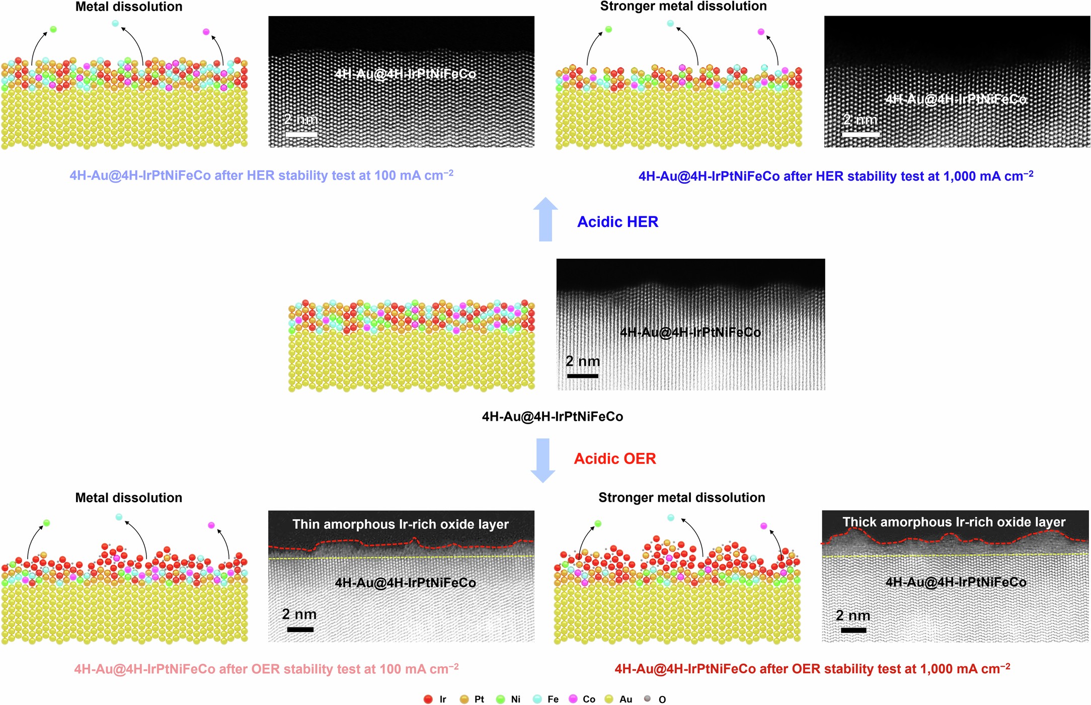 Extended Data Fig. 6: Structural evolutions of 4H-Au@4H-IrPtNiFeCo catalyst after the acidic HER and OER.