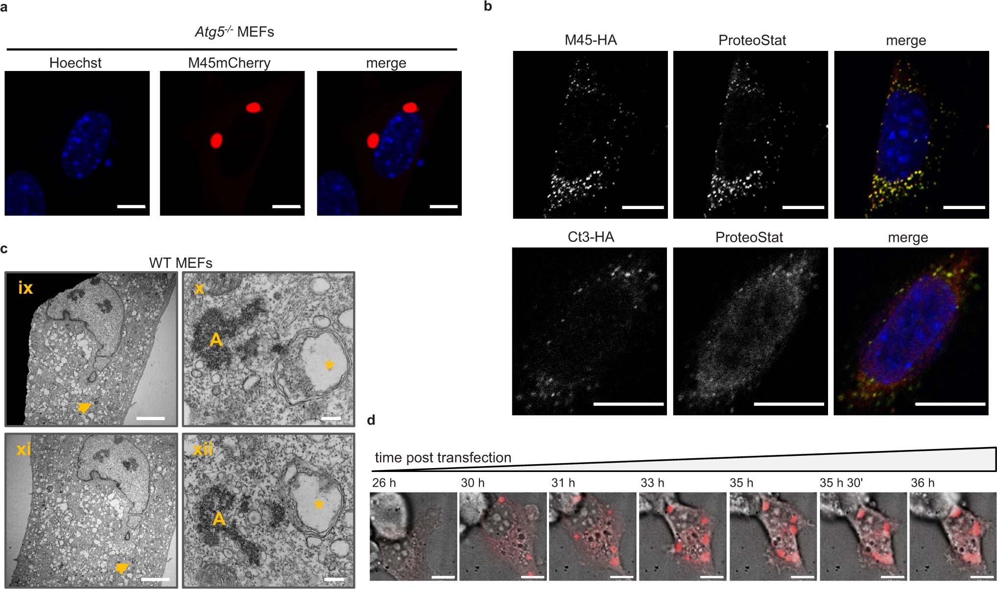Extended Data Fig. 1