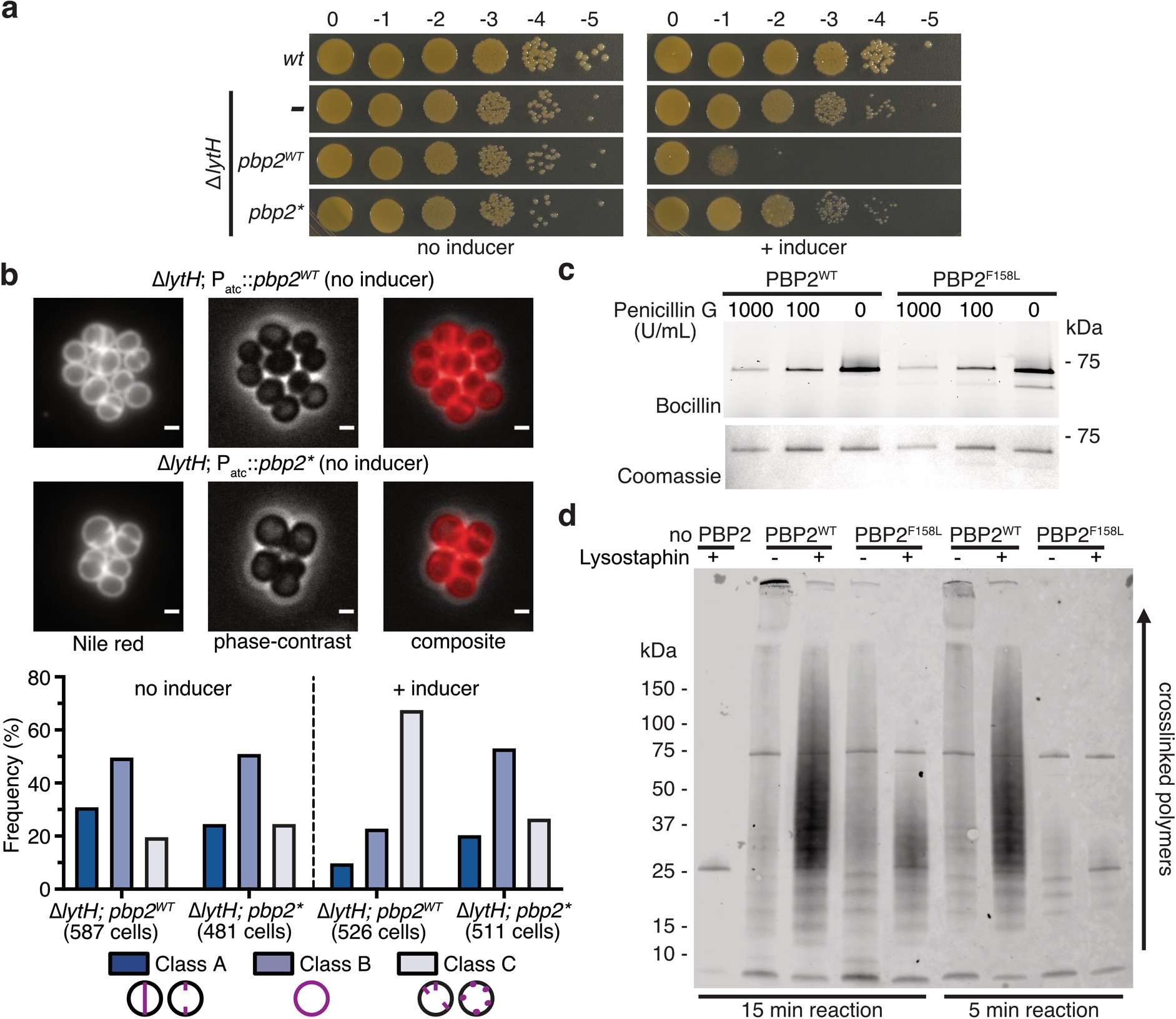 Extended Data Fig. 7