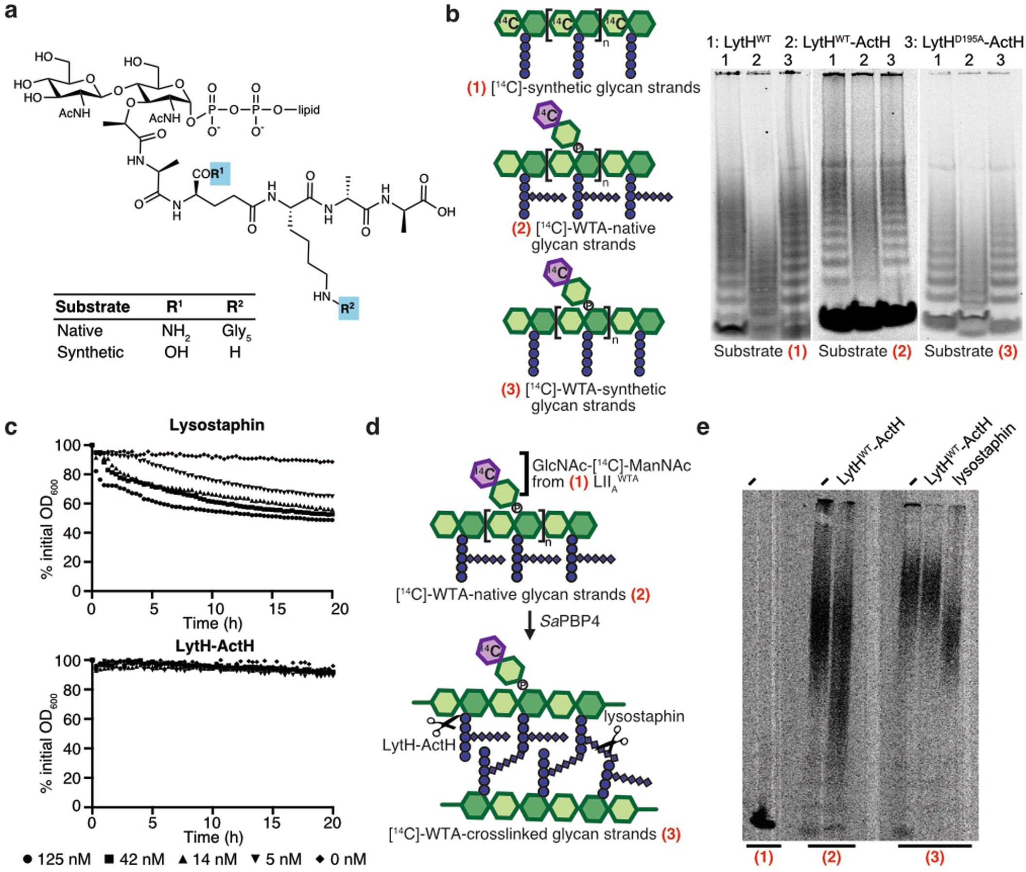 Extended Data Fig. 5