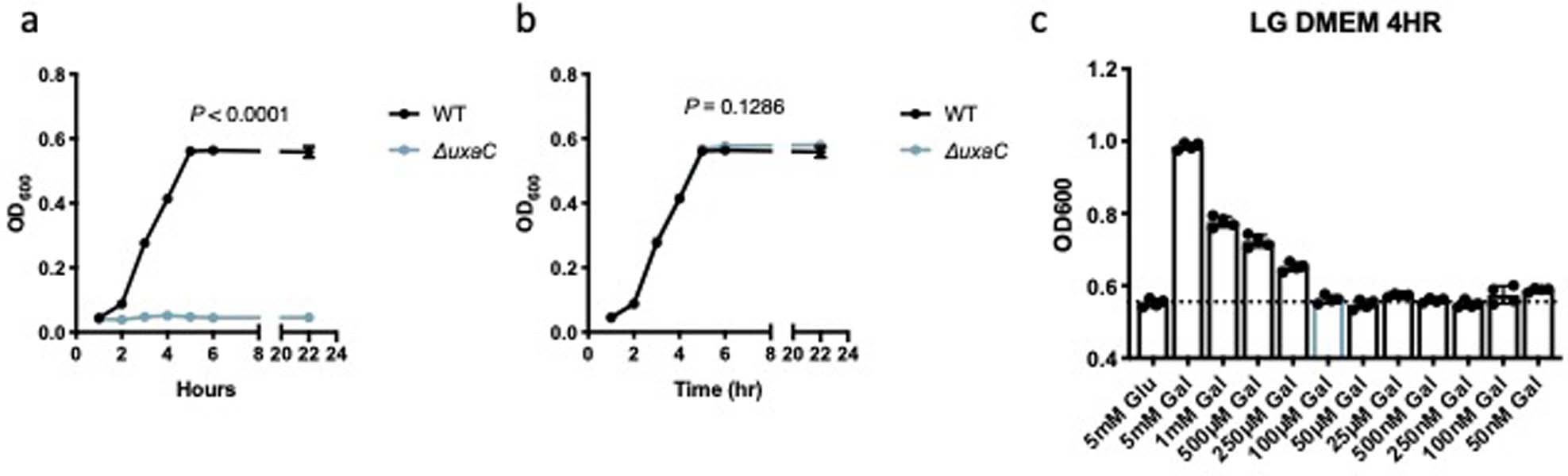Extended Data Fig. 2: UxaC and galacturonic acid promotion of EHEC’s growth.