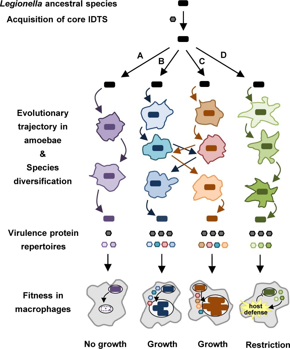 Extended Data Fig. 8