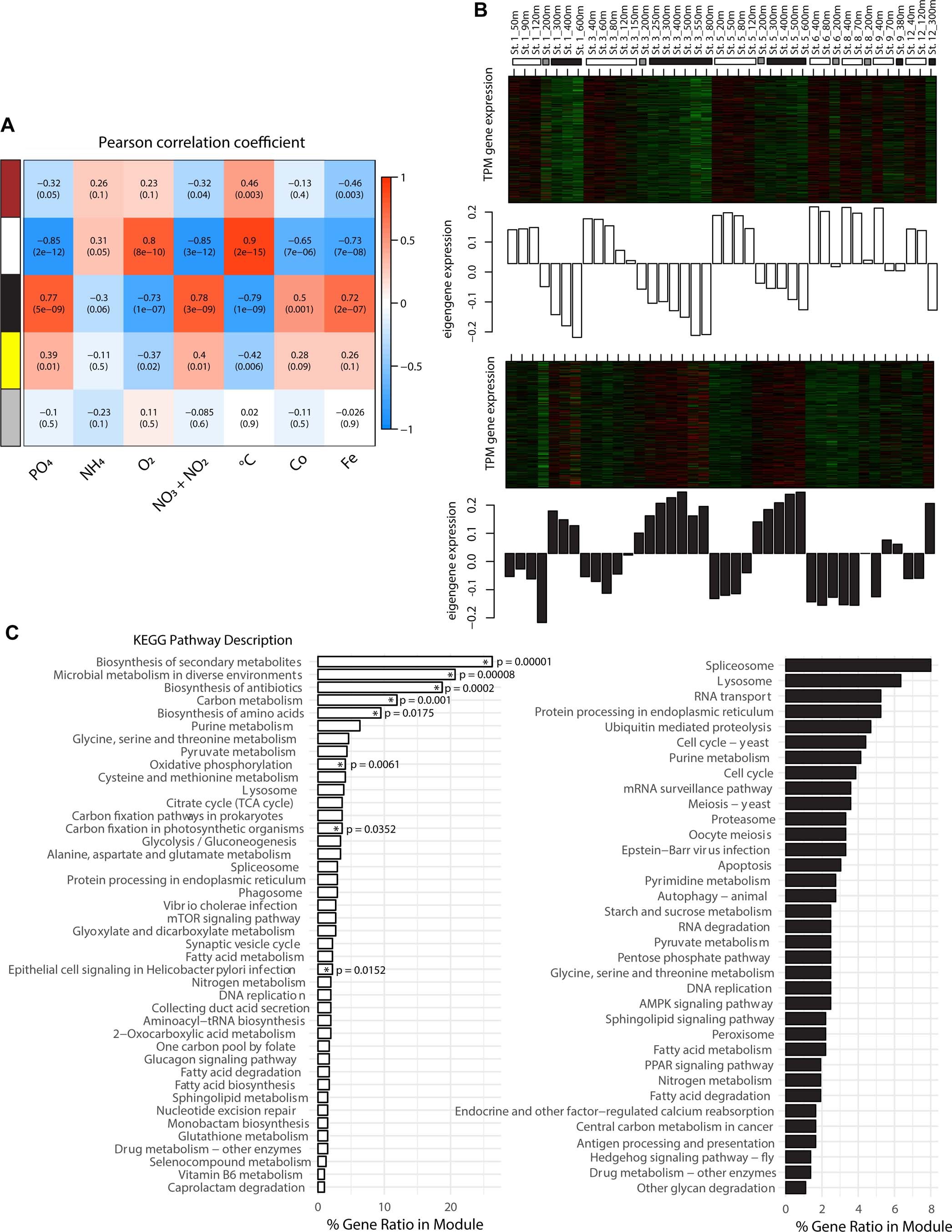Extended Data Fig. 5