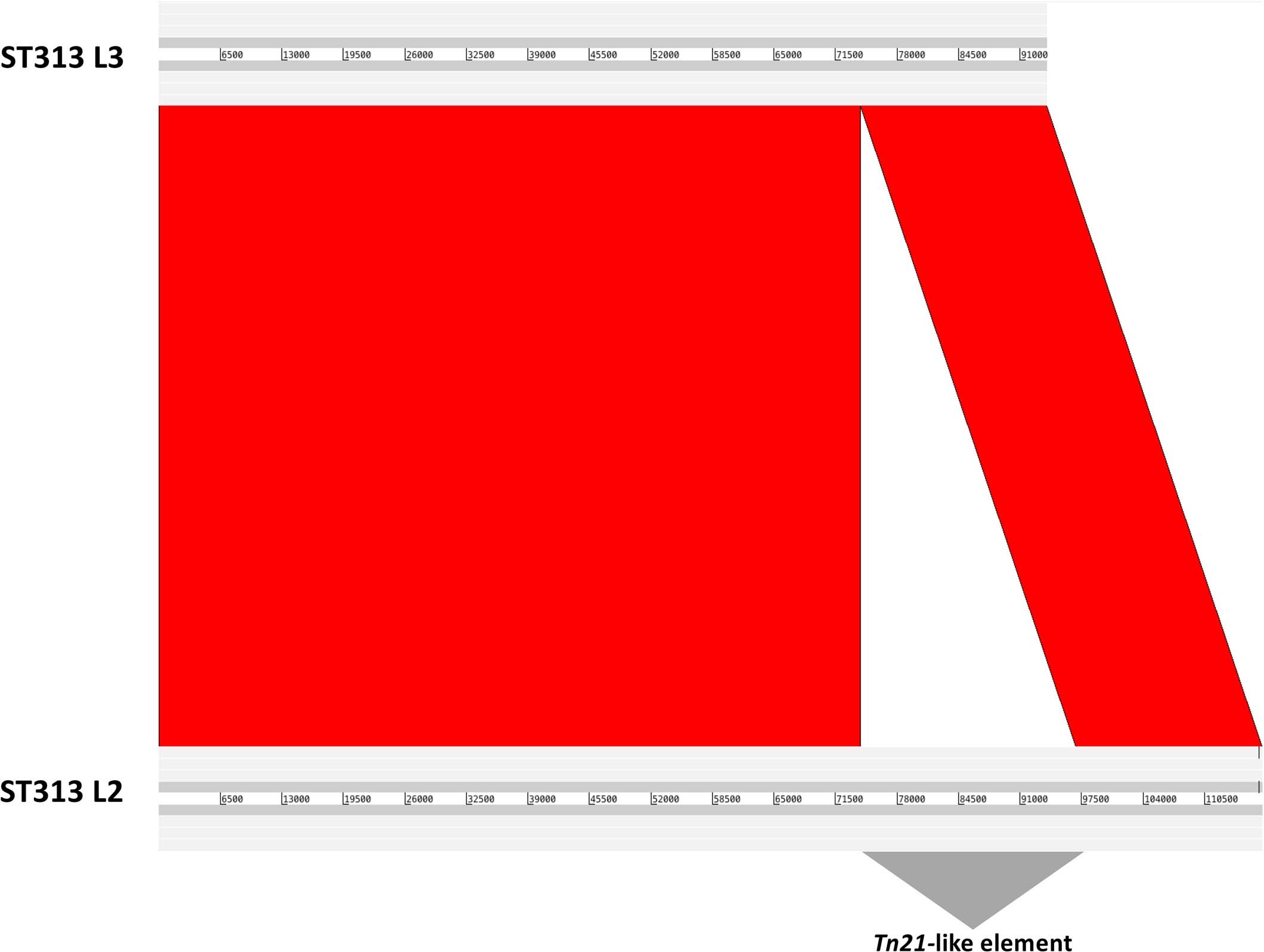 Extended Data Fig. 6: pSLT comparison of 
                        D23580
                        
                       vs BKQZM9.