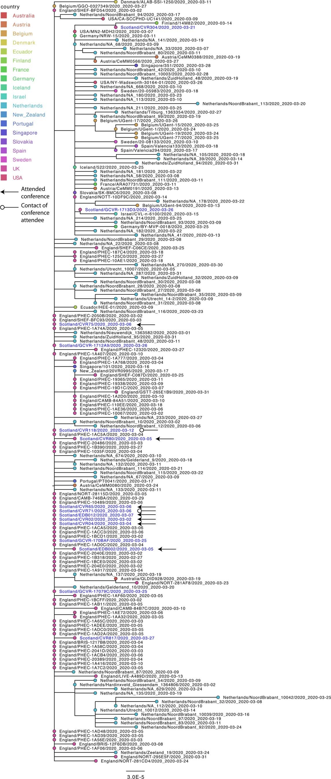 Extended Data Fig. 4: A phylogenetic cluster associated with an international event hosted in Scotland in February 2020.