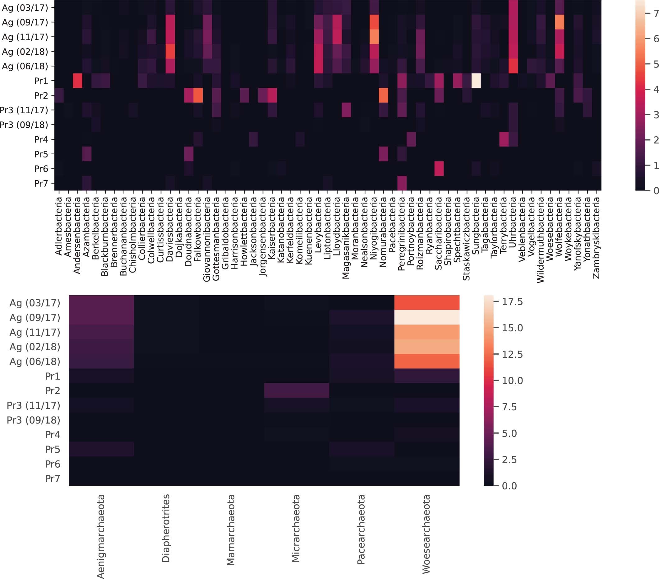 Extended Data Fig. 2: Distribution of CPR (top) and DPANN (bottom) phylum-level lineages across groundwater sites.