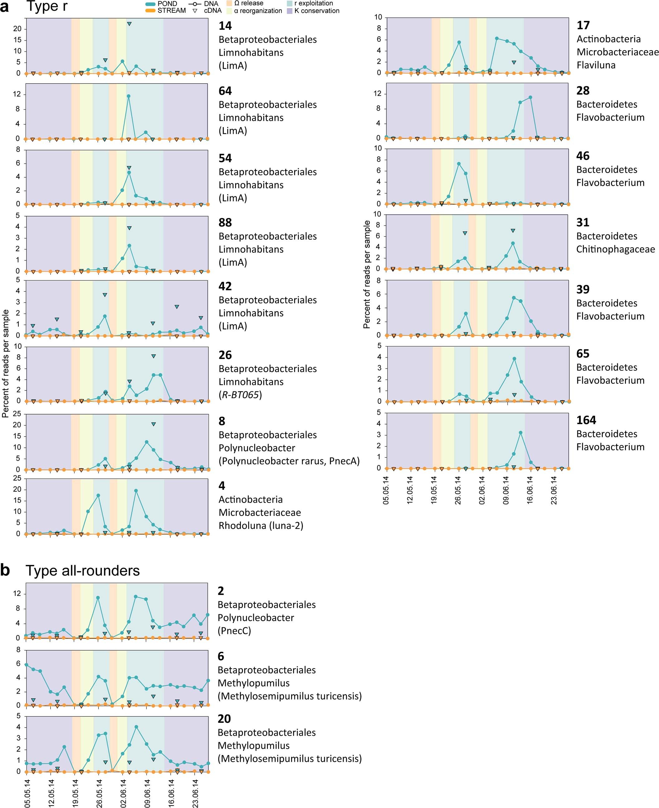 Extended Data Fig. 6: Highly abundant omnipresent ASVs and ASVs displaying highest read proportions in exploitation phases.
