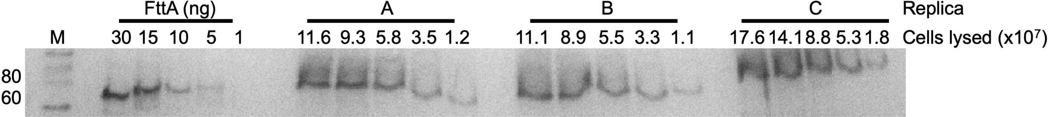 Extended Data Fig. 5