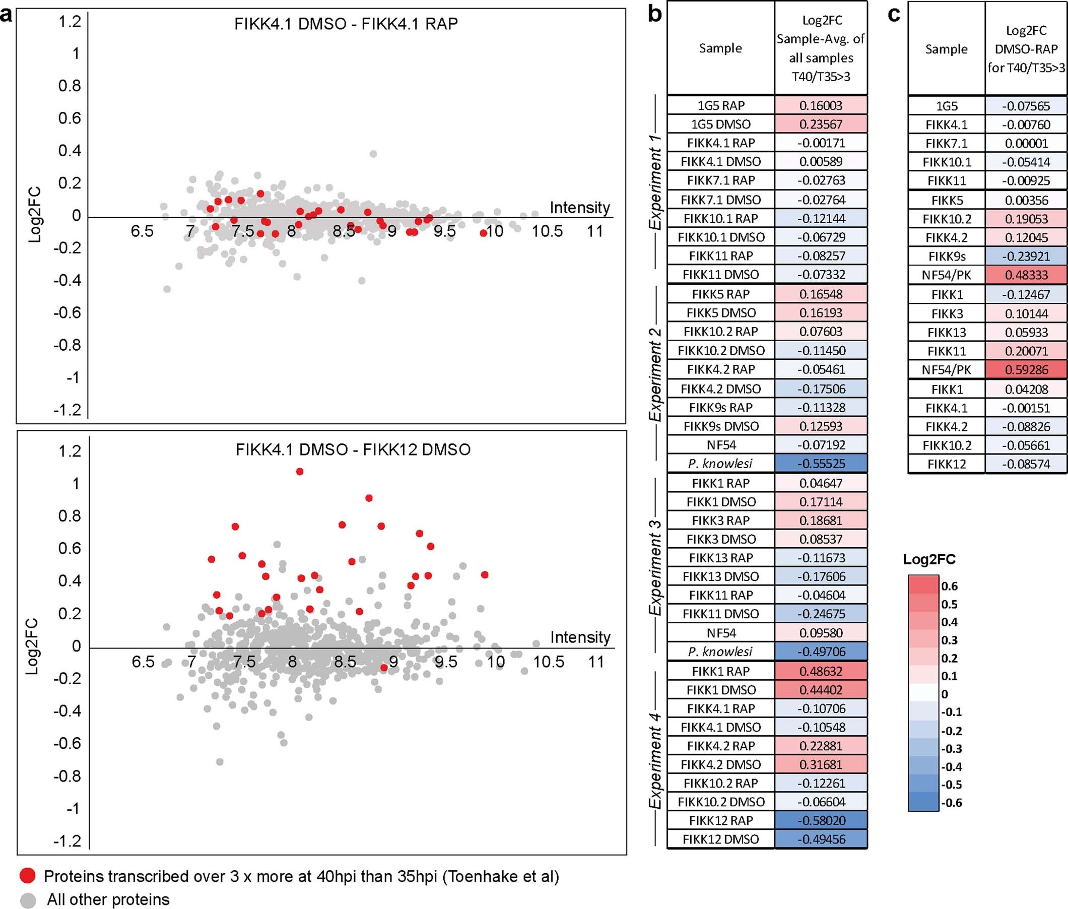 Extended Data Fig. 6: Unenriched proteome analysis of FIKK KO lines shows no difference in growth upon RAP-Treatment.